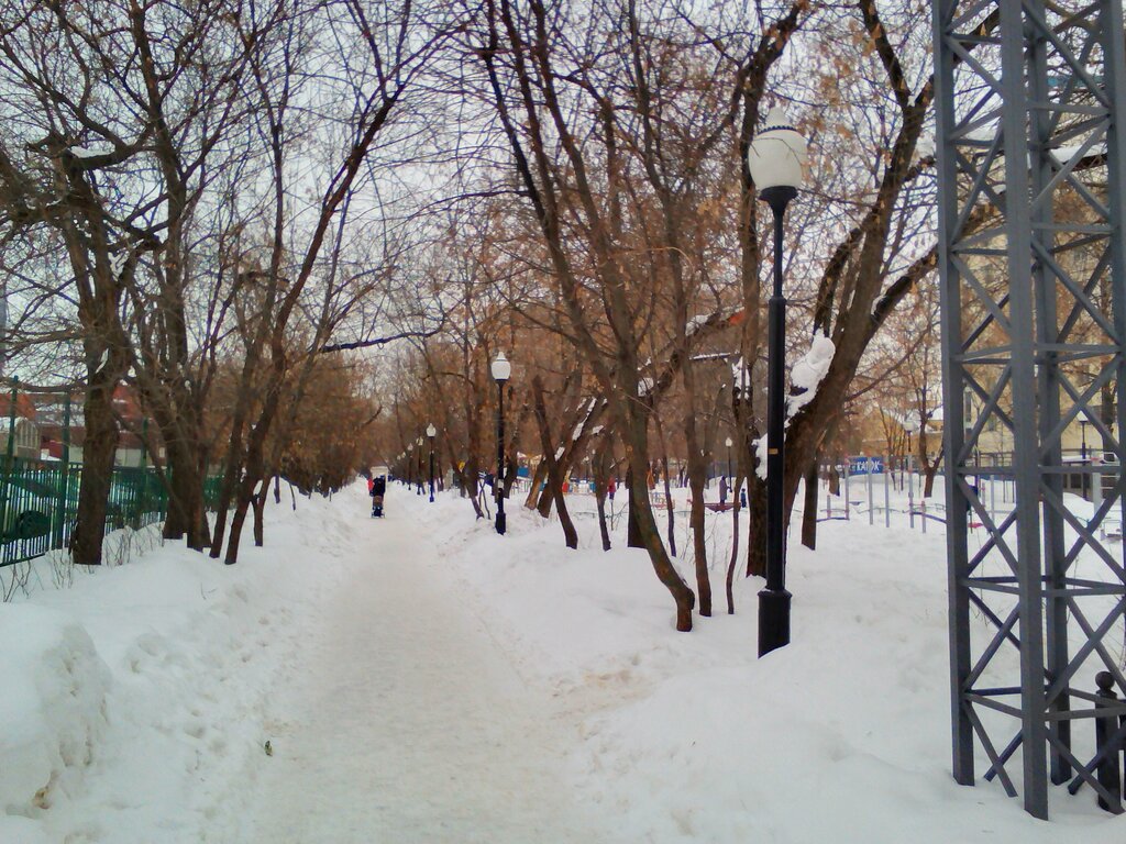 Ice rink Народный парк Автомобилист, Moscow, photo