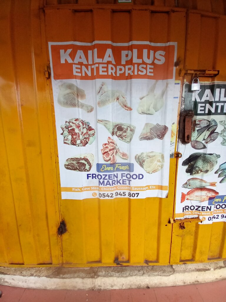 Frozen food products Kaila Plus Enterprise, Accra, photo