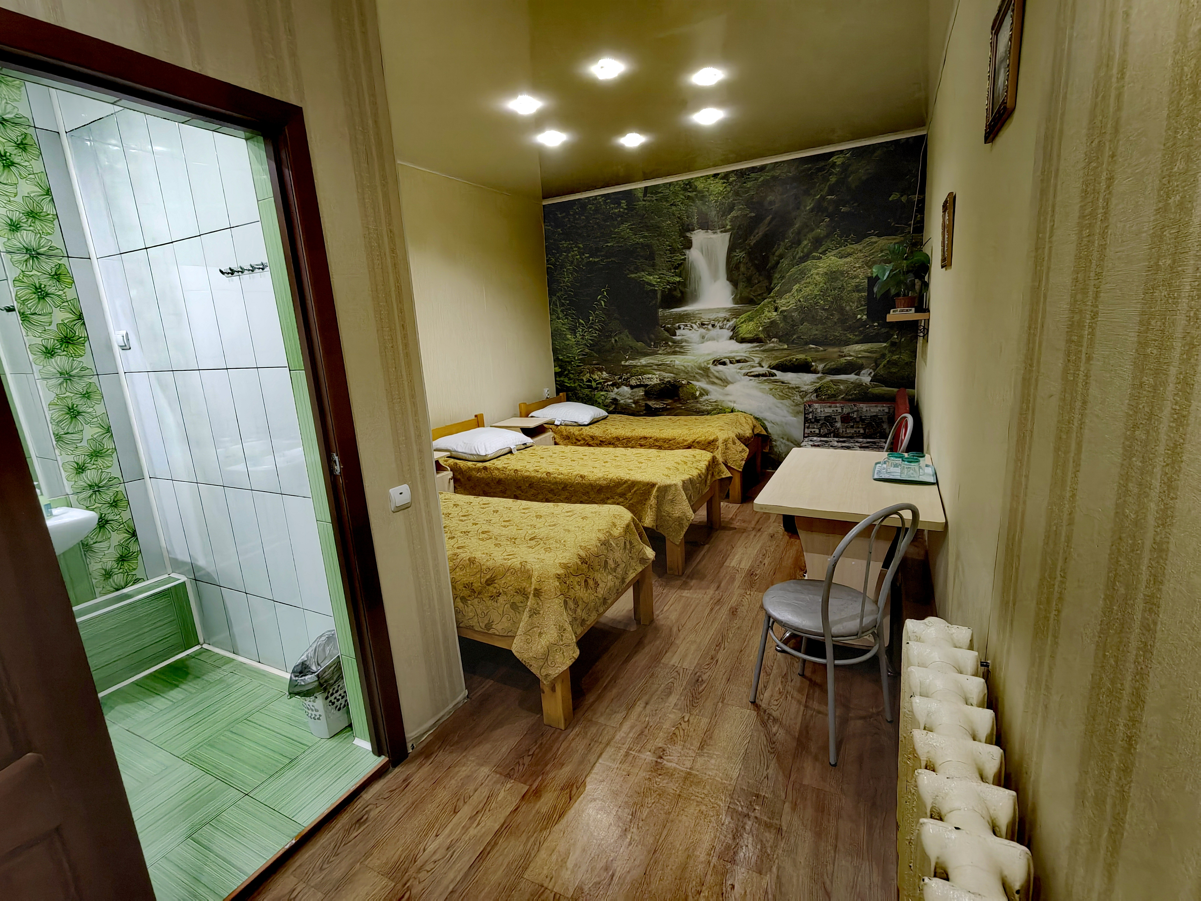 Фото Солнечная