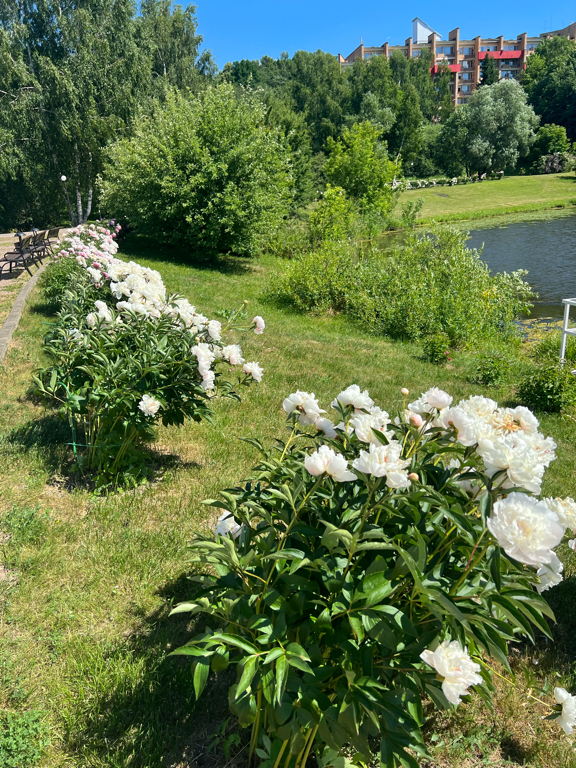 Фото Планерное