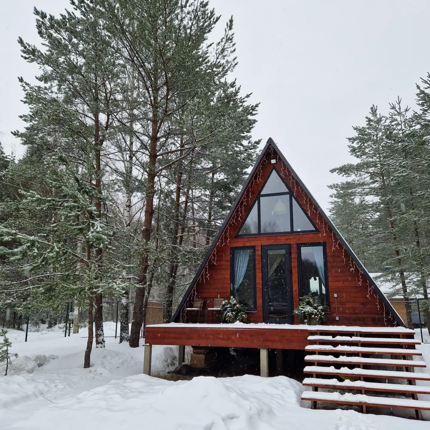 Фото Чик-чирик