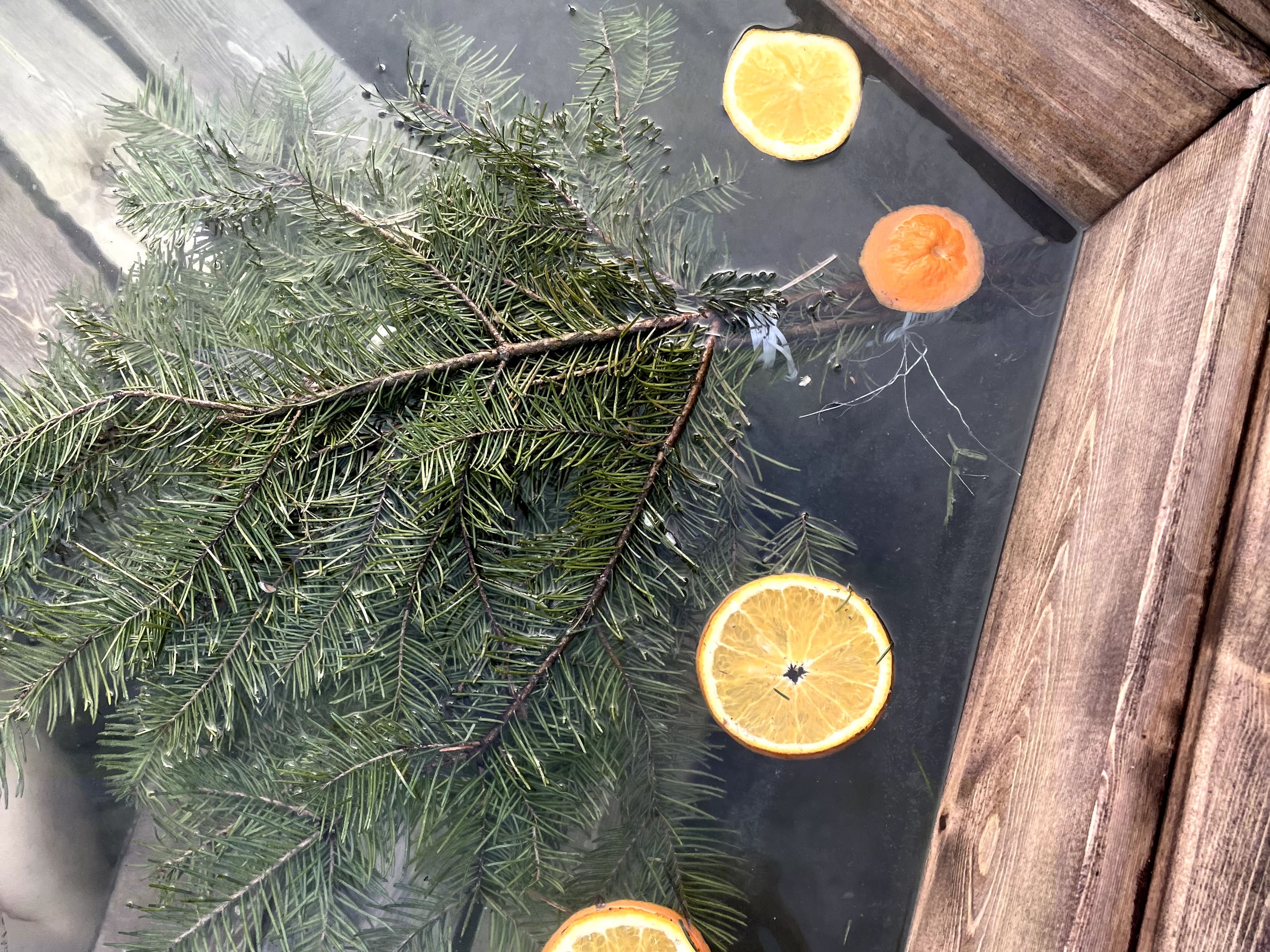 Фото Уютная Лиса