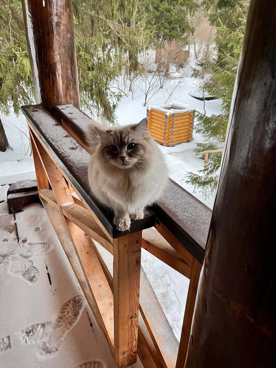 Фото Николин Хутор