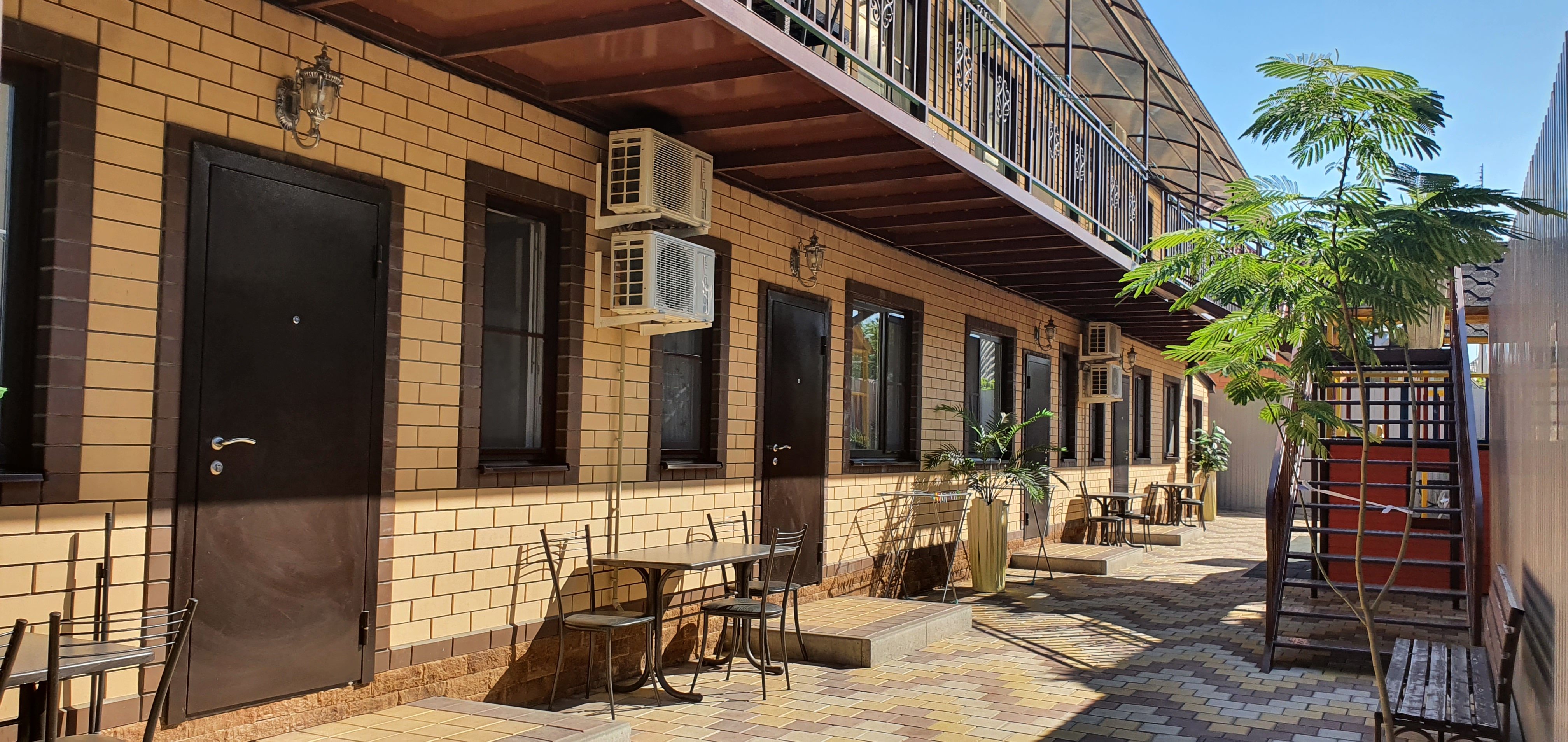 Фото Мандарин