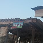 Point and Kill (Santana Market Close, 14), egg and poultry meat