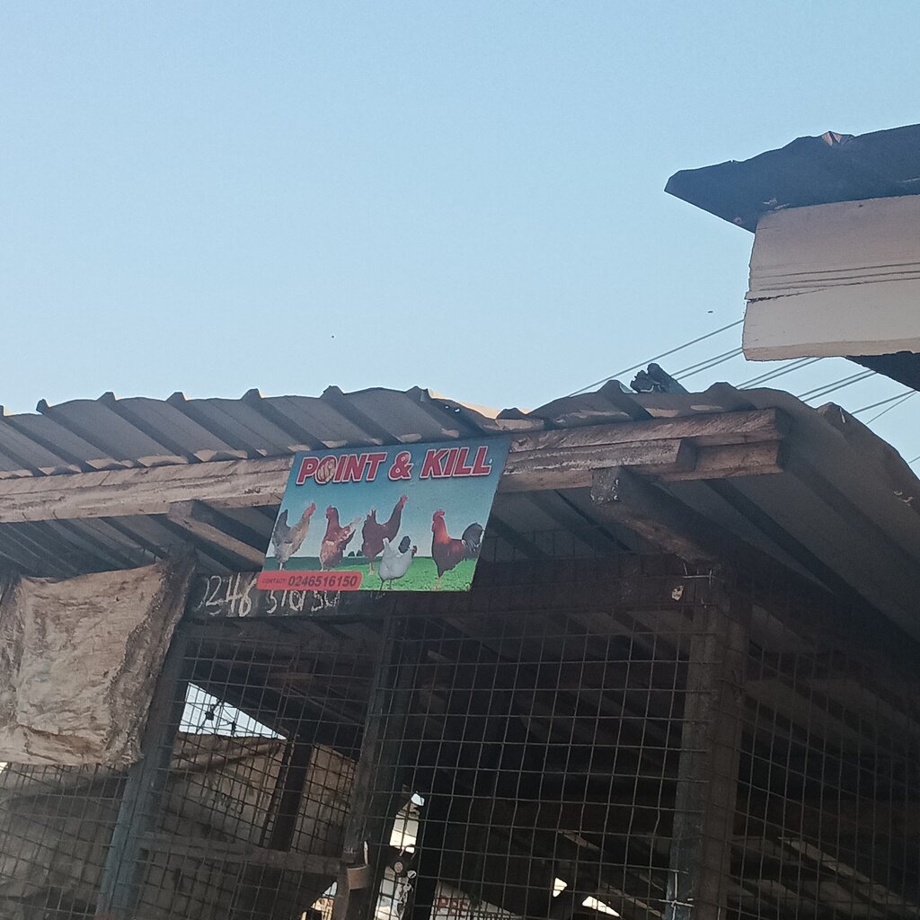 Egg and poultry meat Point and Kill, Accra, photo