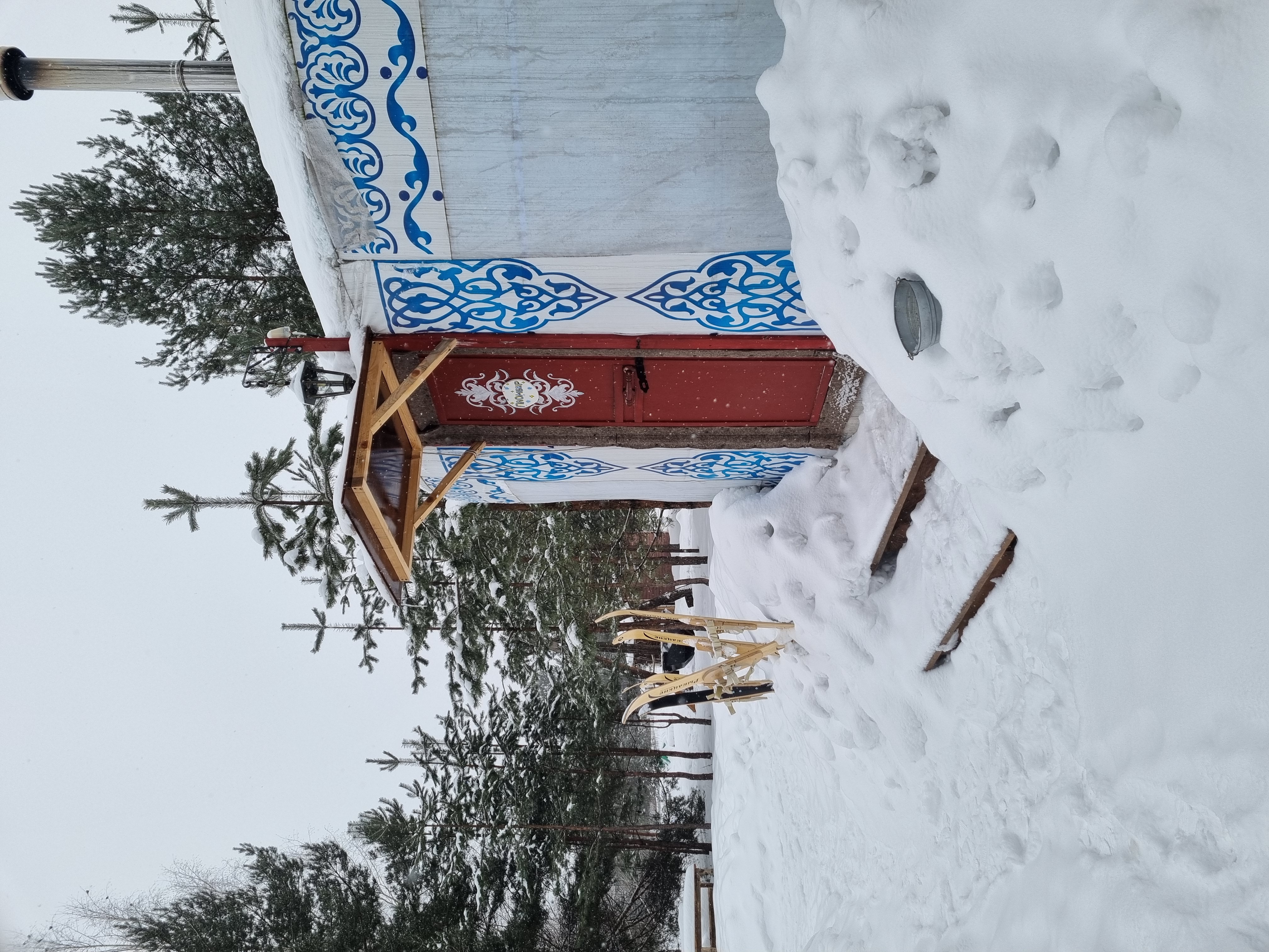 Фото В гостях у Лешего