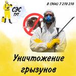 Сэс-тут (Noviy Boulevard, 21), disinfection, disinsection, deratization
