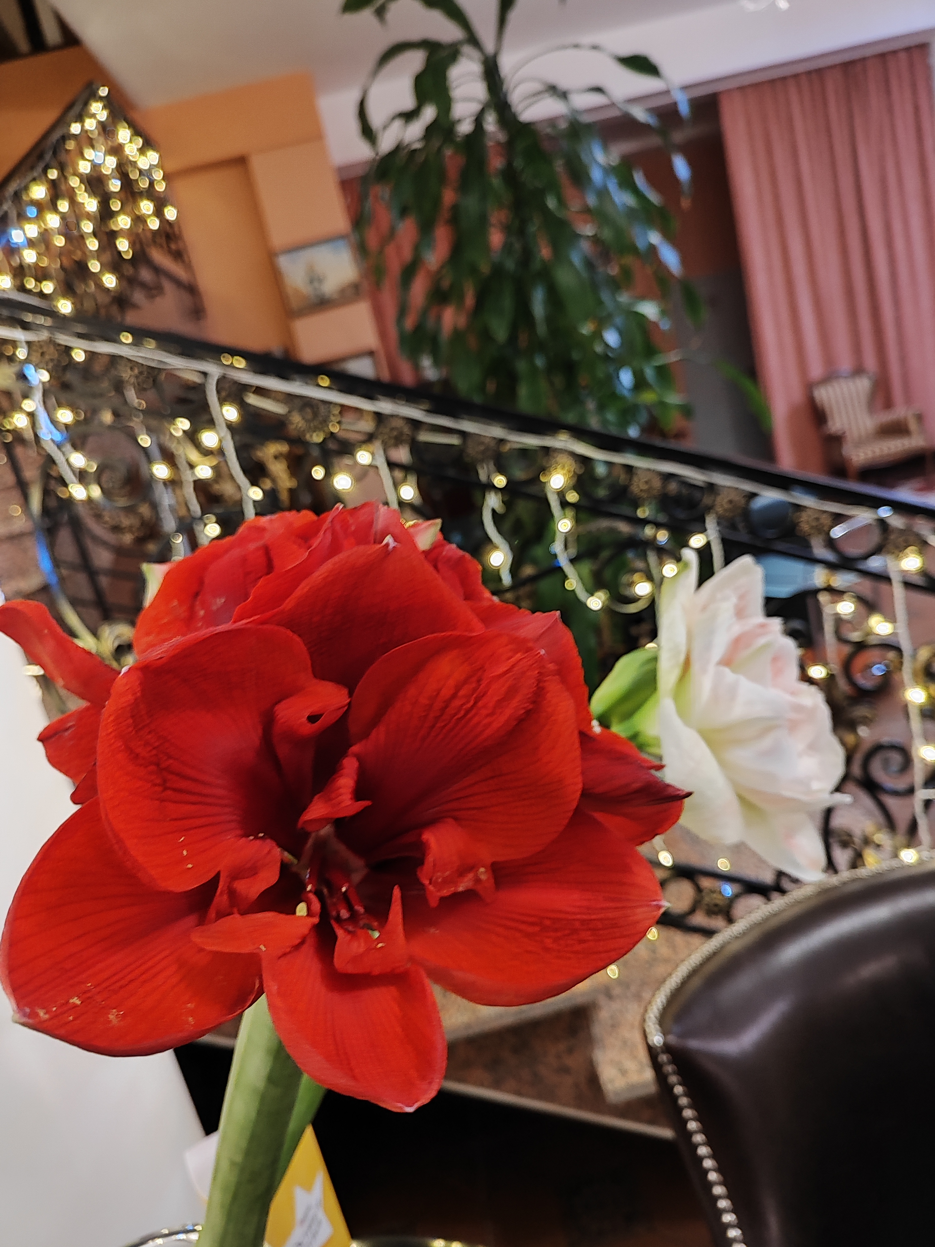 Фото Отель Садовая 19