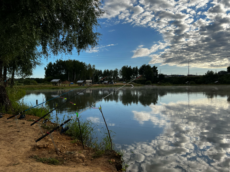 Фото Место клёва