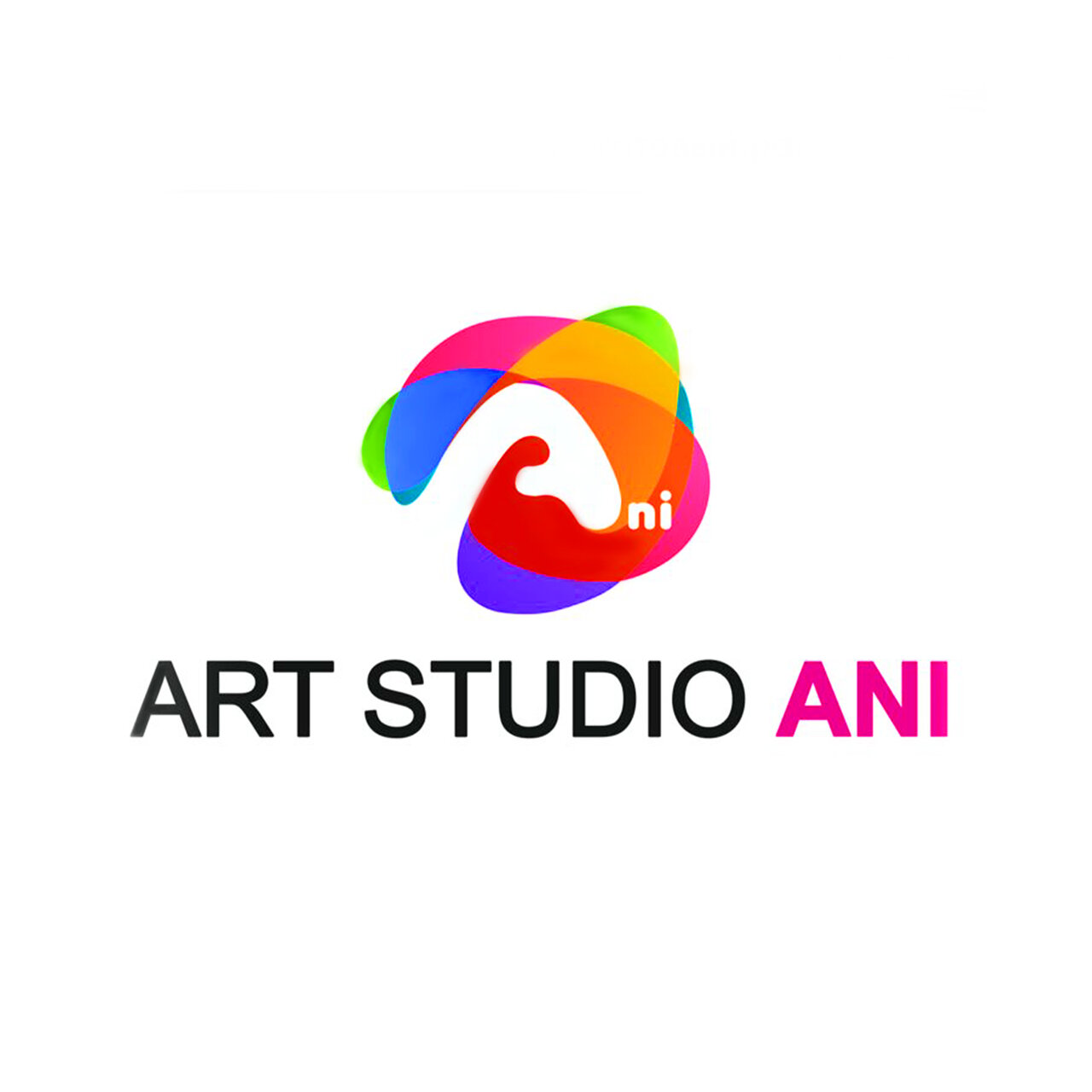 Art studio Ani