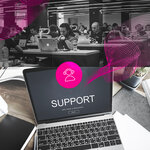 Diskless (Viktorenko Street, 5с1), it company