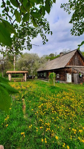 Hotel Хата на болоте в пуще, Brest District, photo