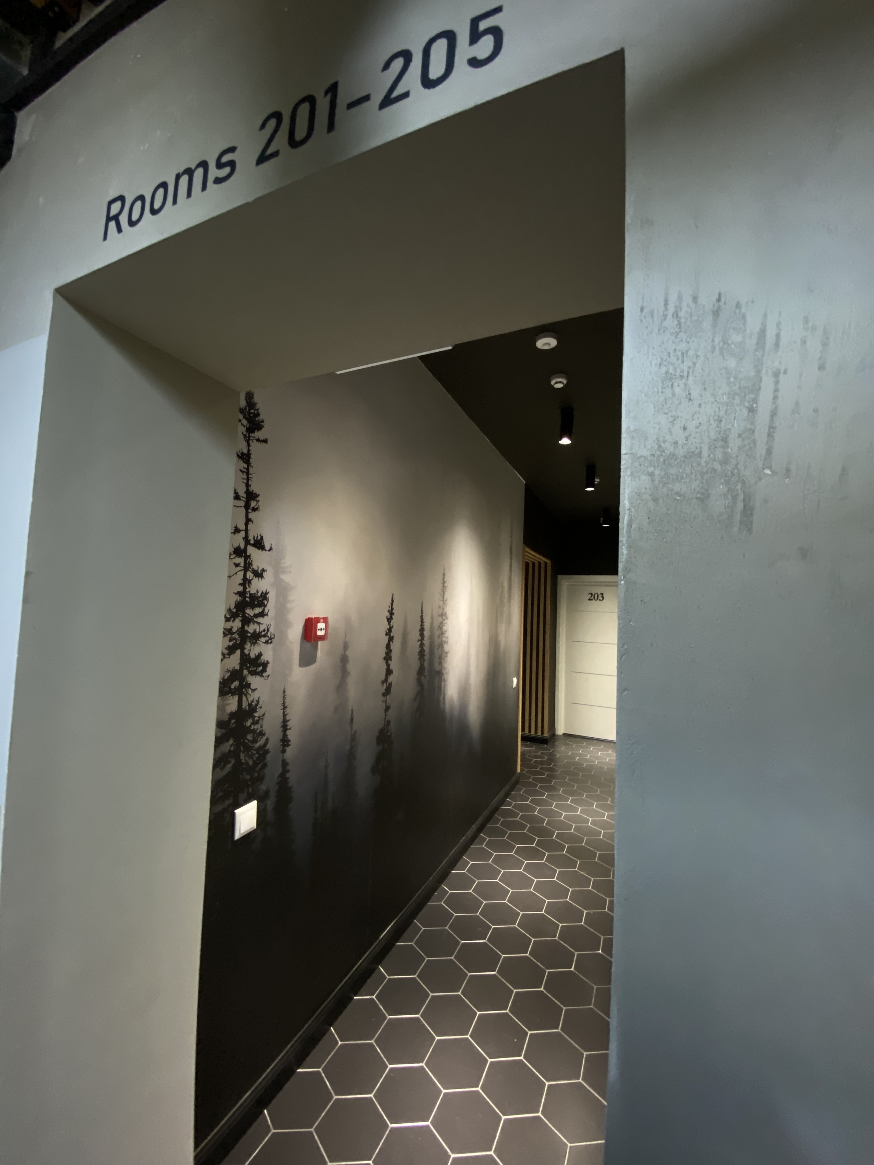 Фото Онегин