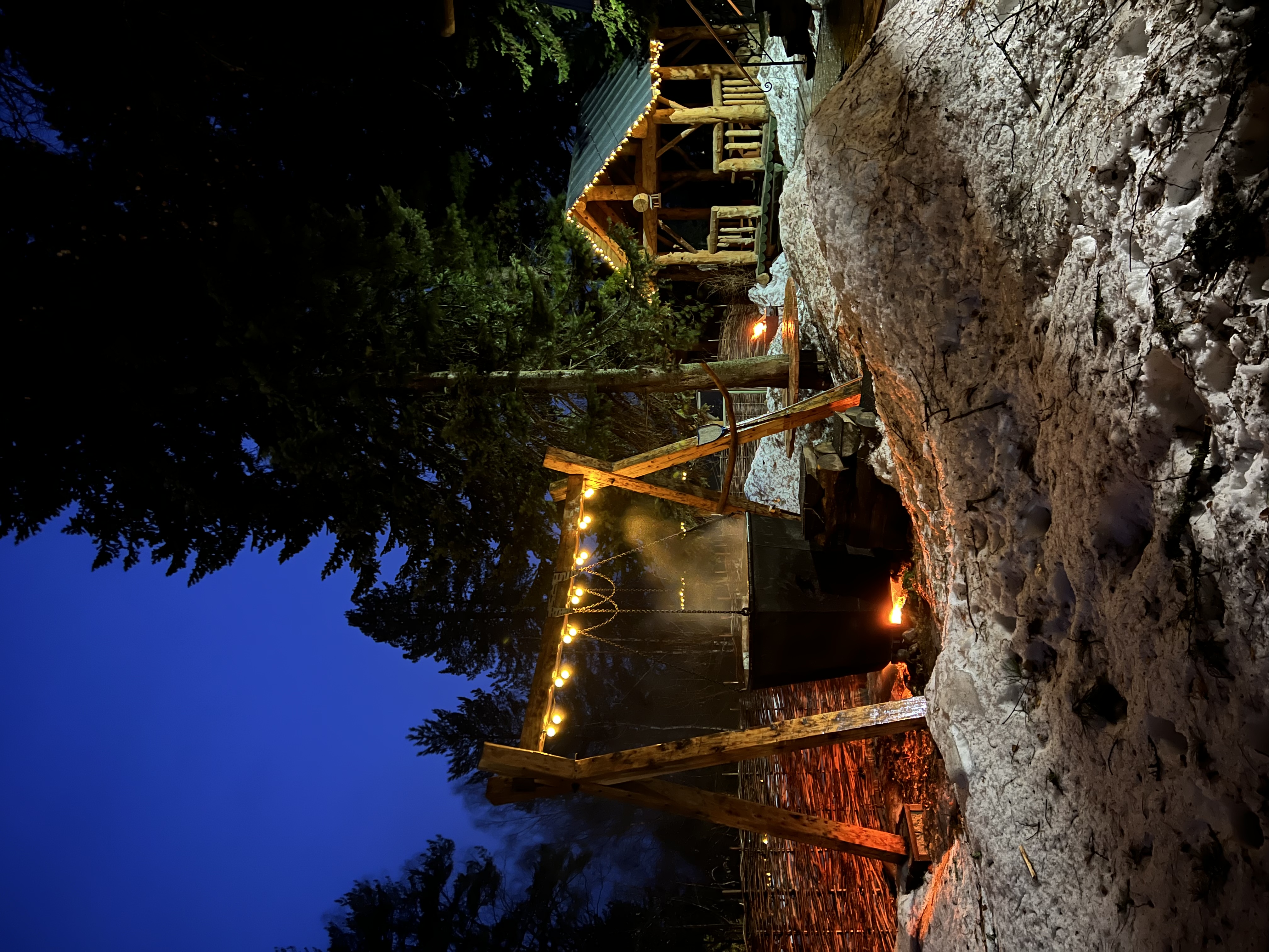 Фото Телецкие Терема