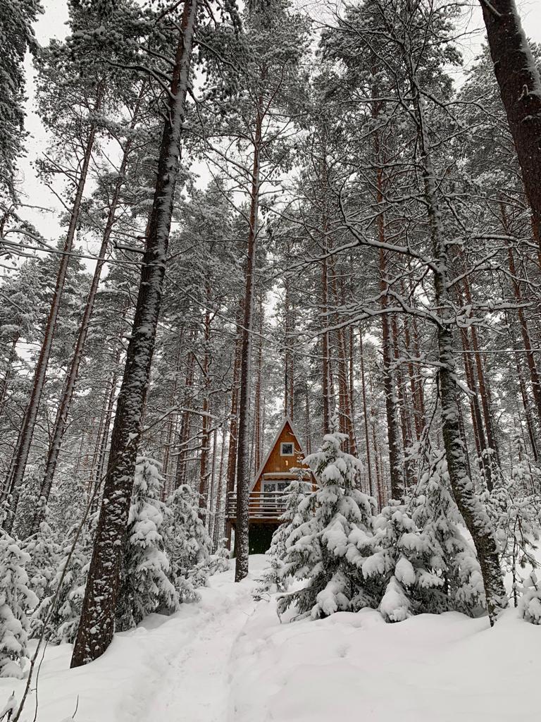 Фото Гринвальд Парк Скандинавия