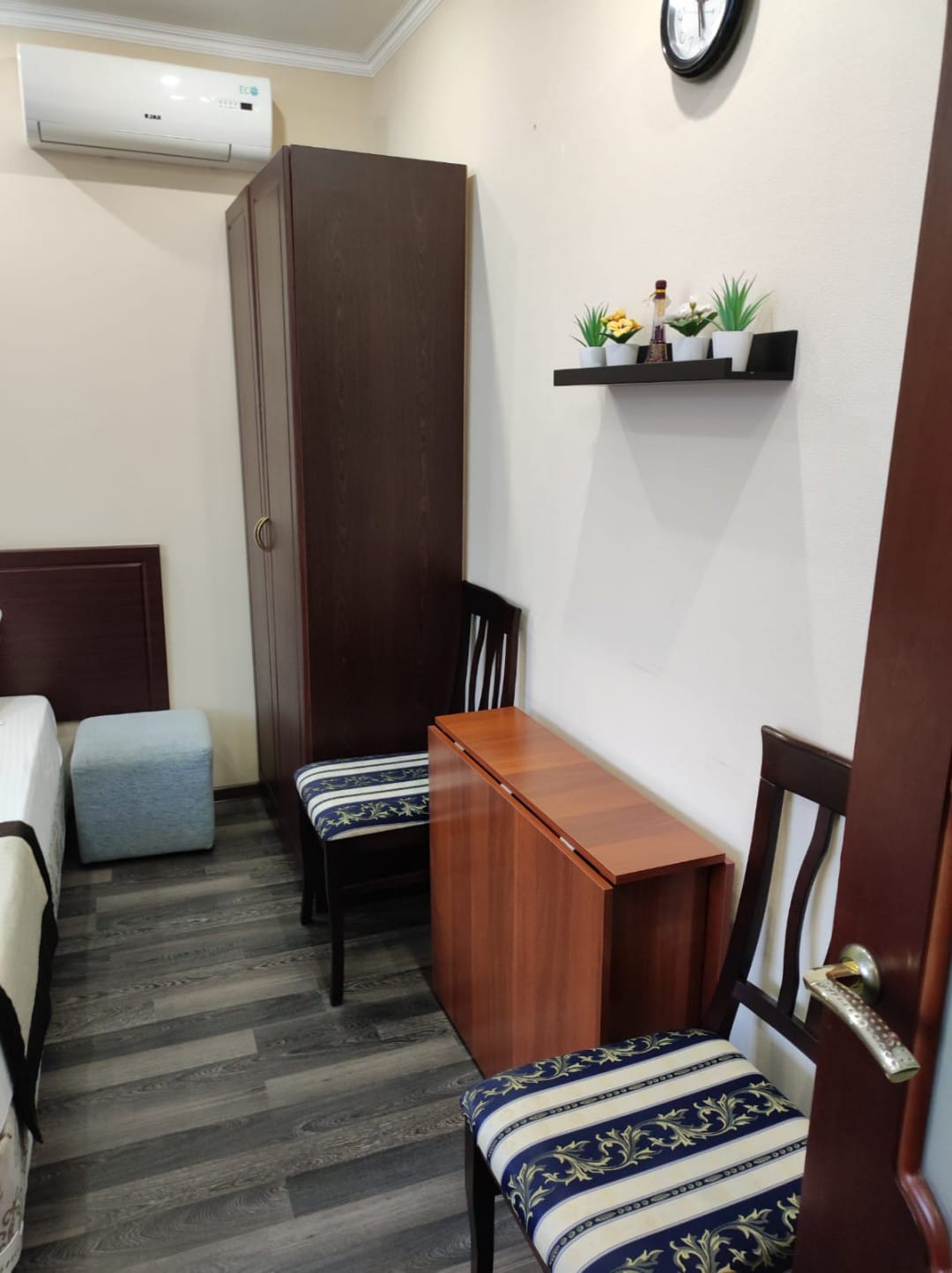 Фото Афалина