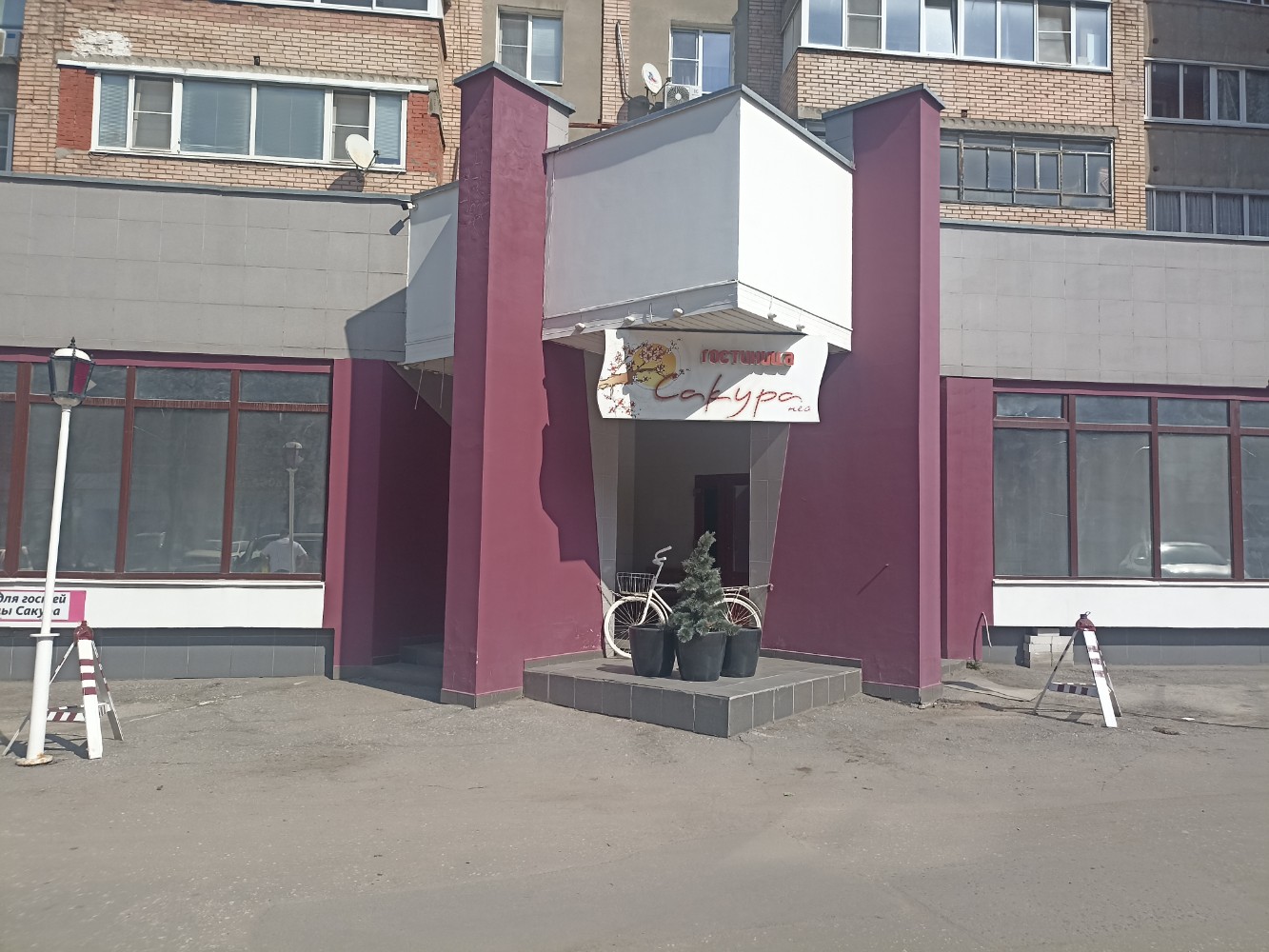 Фото Сакура Нео