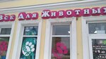 Magazin Vse dlya zhivotnykh (Moskovskaya ulitsa, 44), pet shop