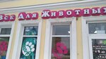 Все для животных (Московская ул., 44), зоомагазин в Орле