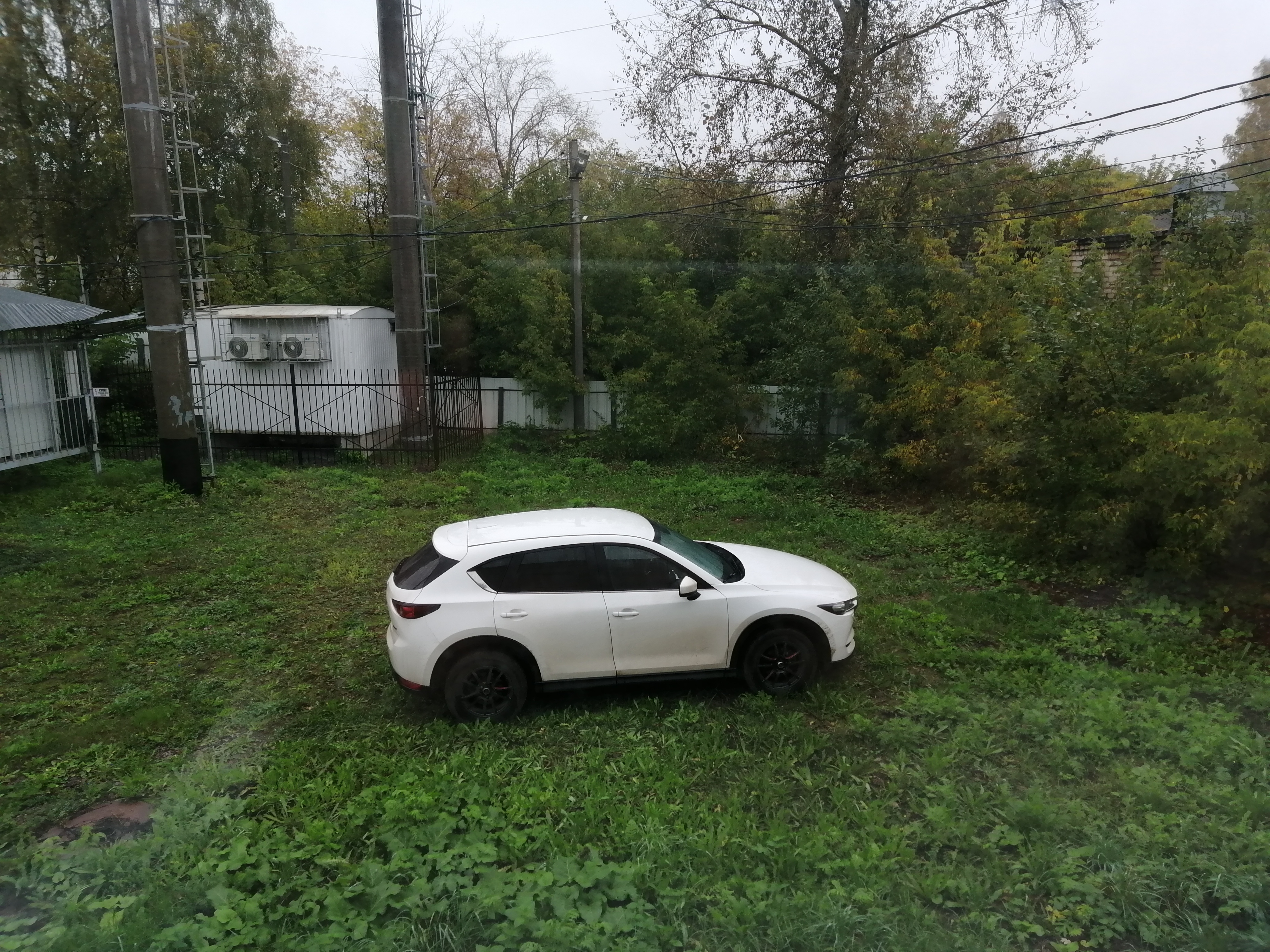 Фото Ксеаль