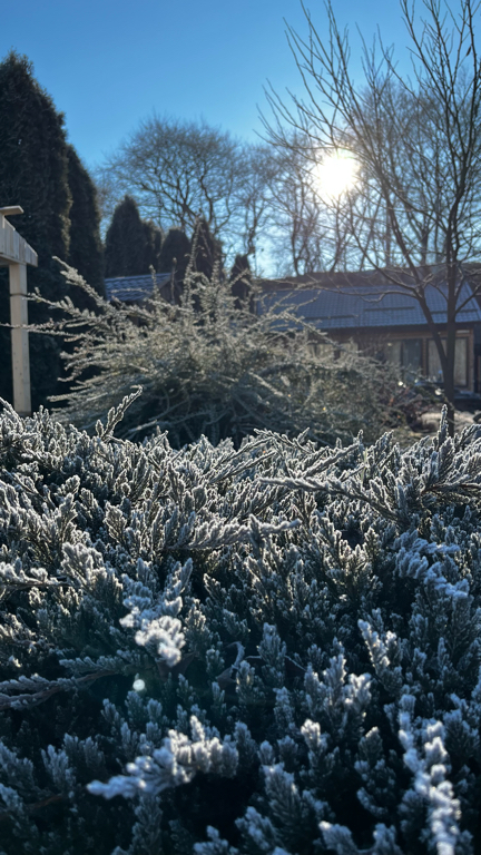 Фото Кордес