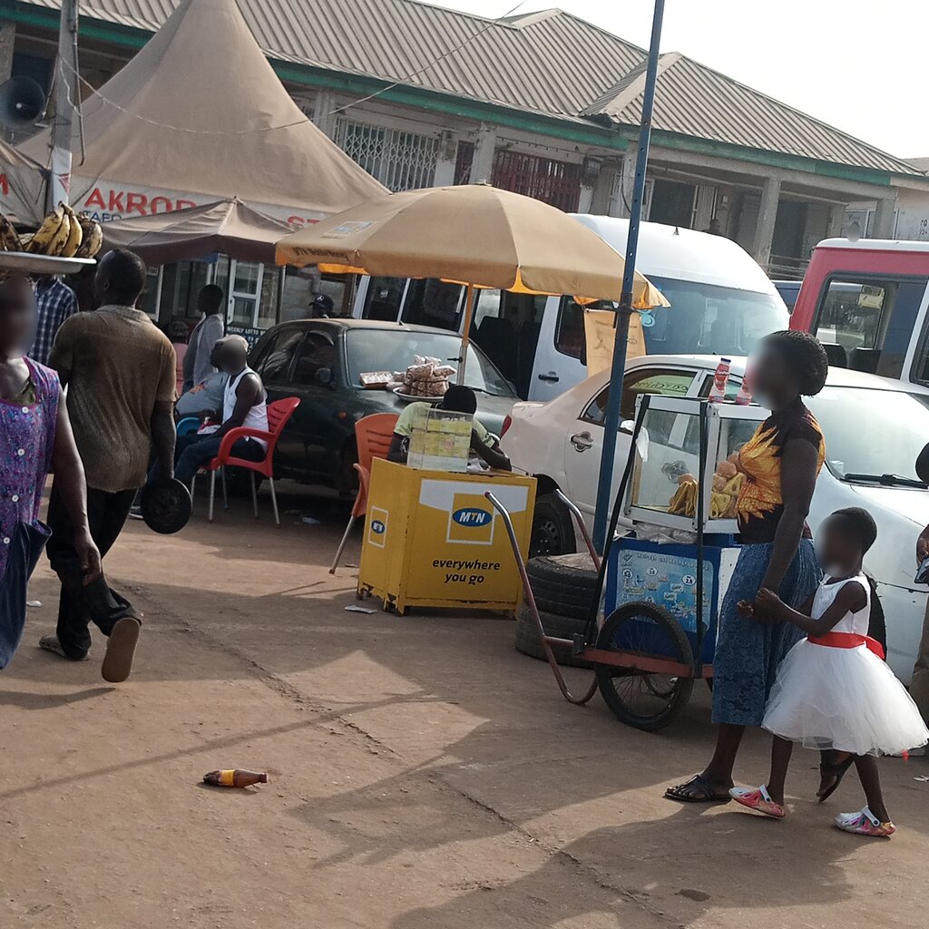 Microfinance institution Tsideku rohi, Earth, photo