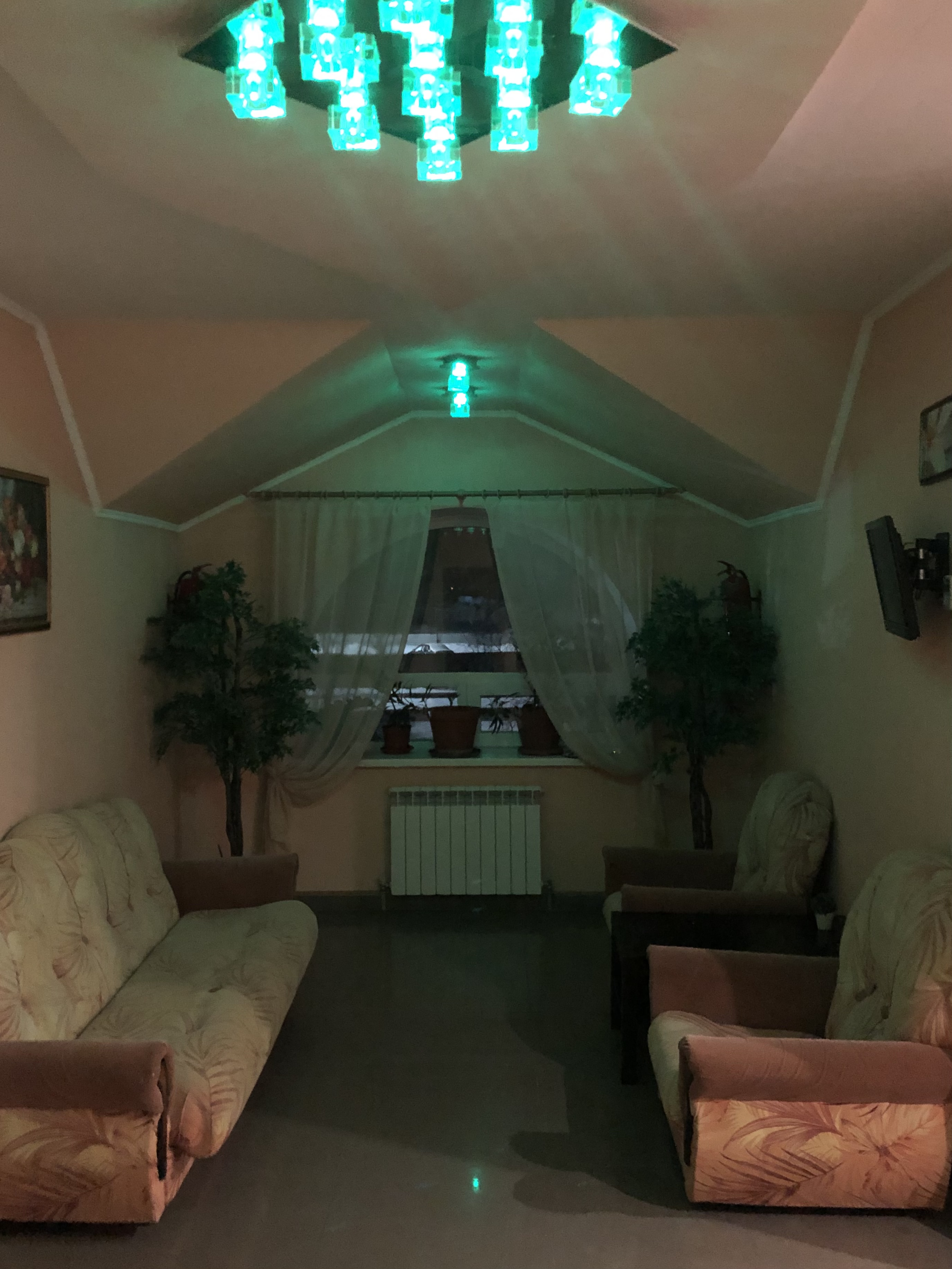 Фото Цветок