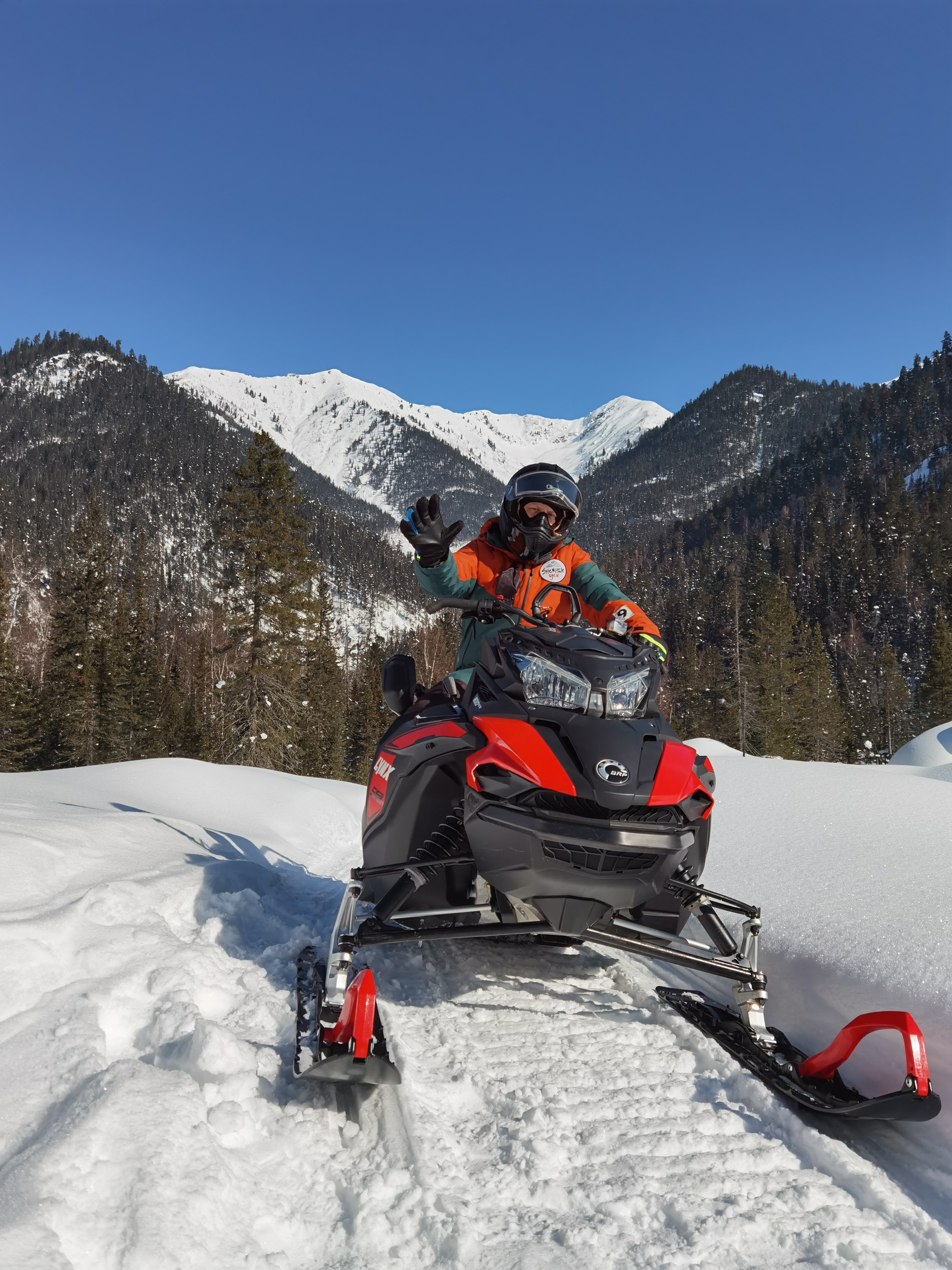 Фото Снежные Гуси