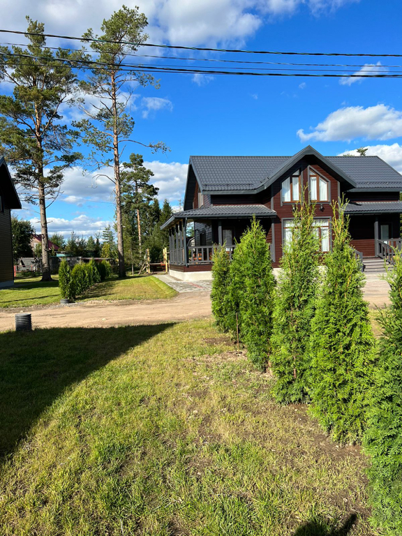 Фото Лесная Сова