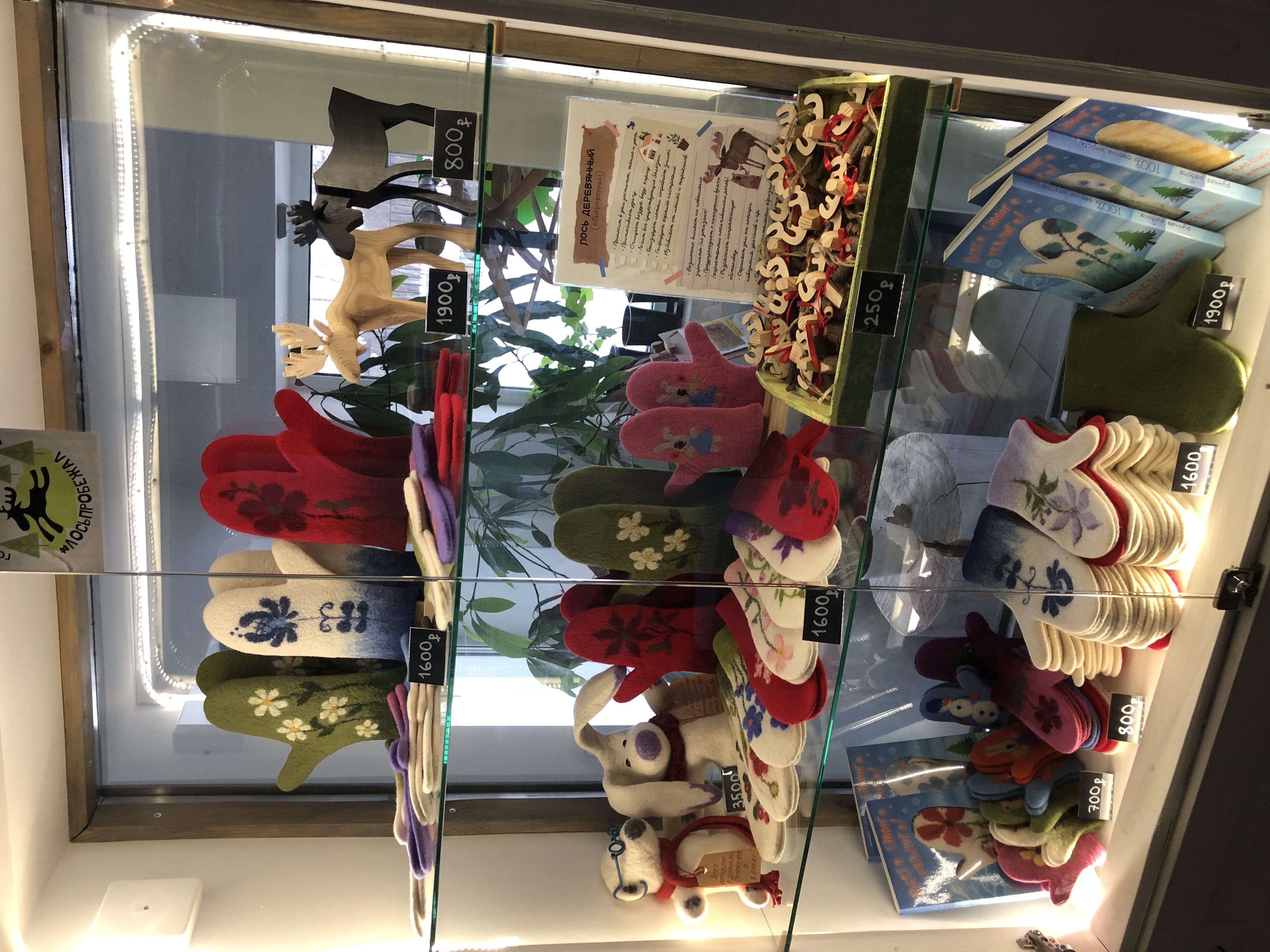 Фото Лосьпробежал