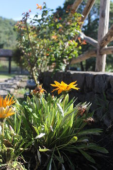 Фото Le Cisterne dell'Etna