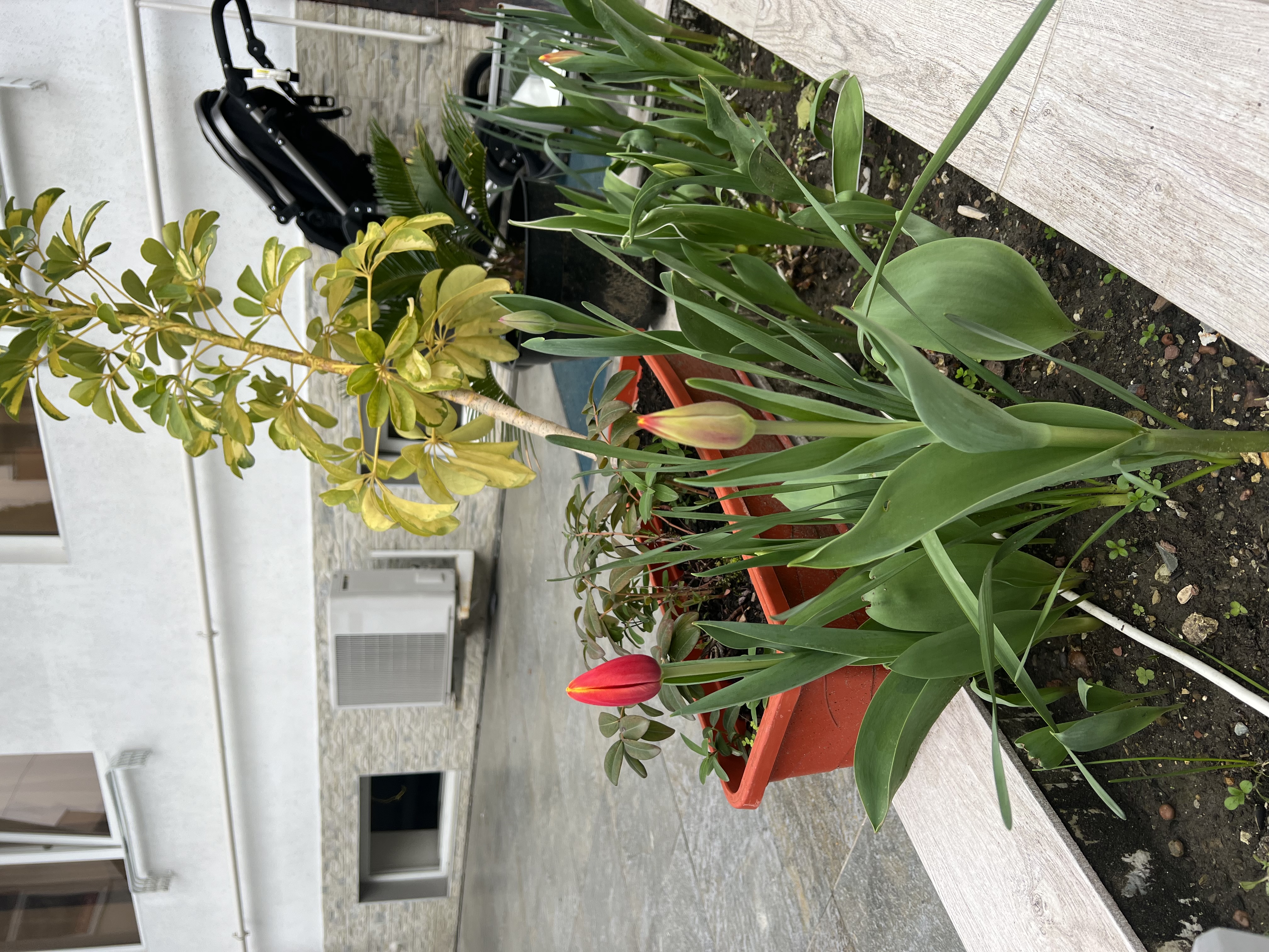 Фото Радуга-Престиж