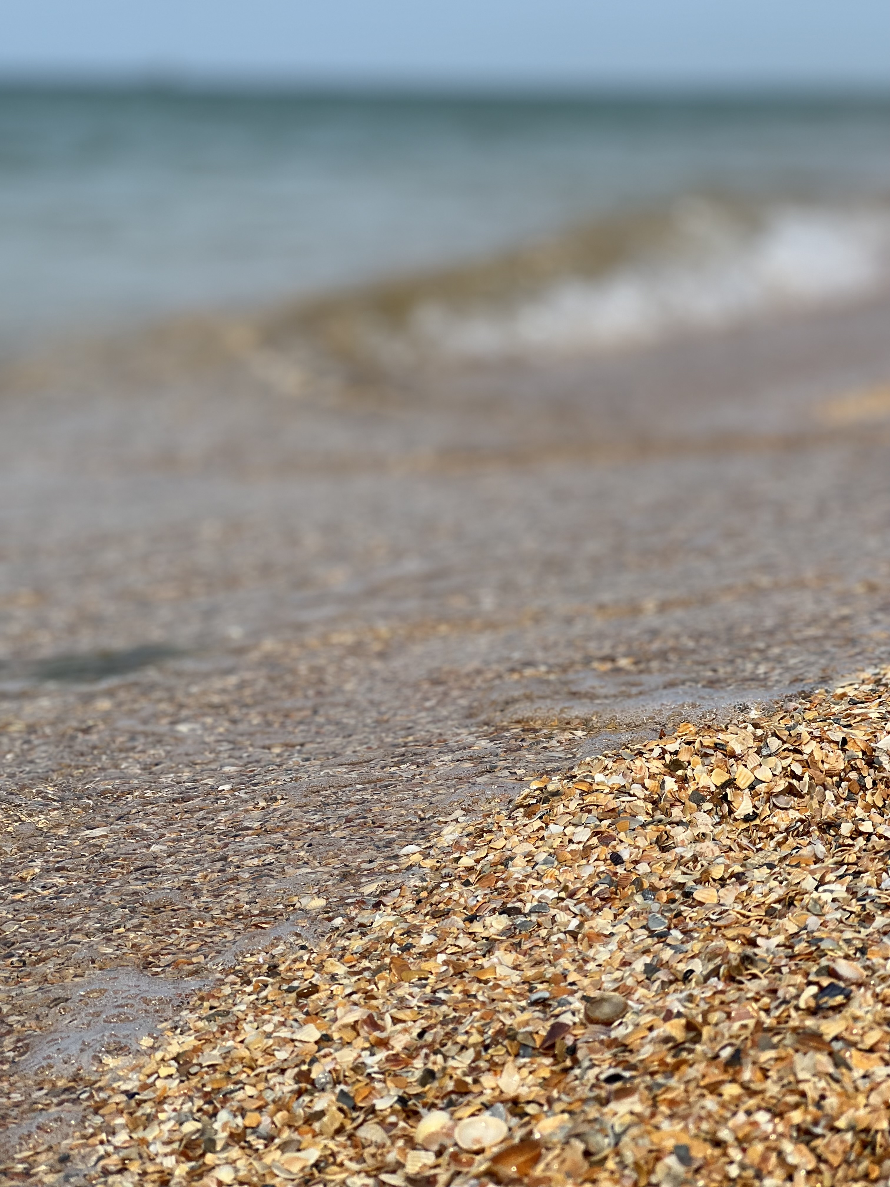 Фото Azov GoldenSands