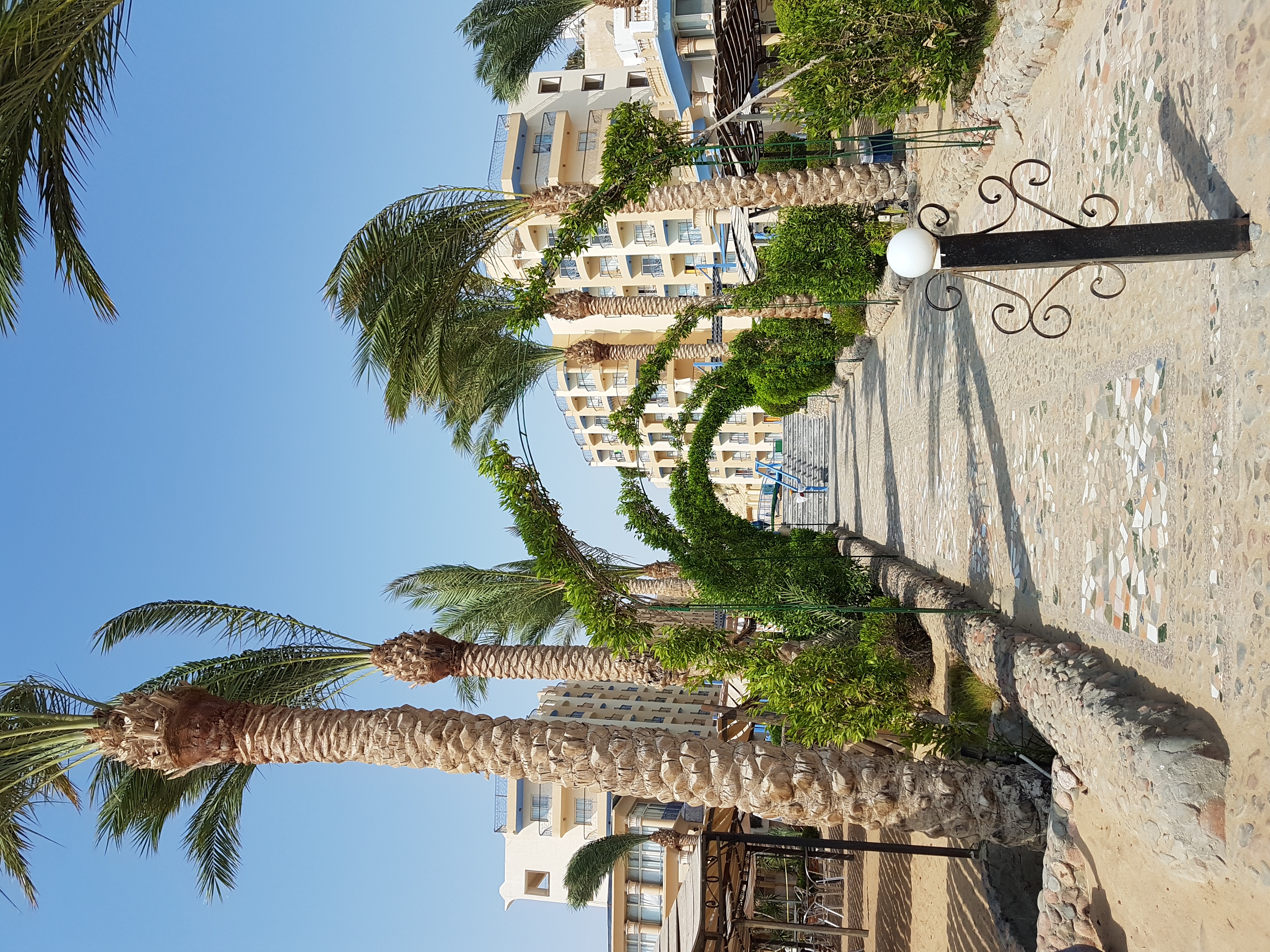 Фото Sphinx Aqua Park Beach Resort