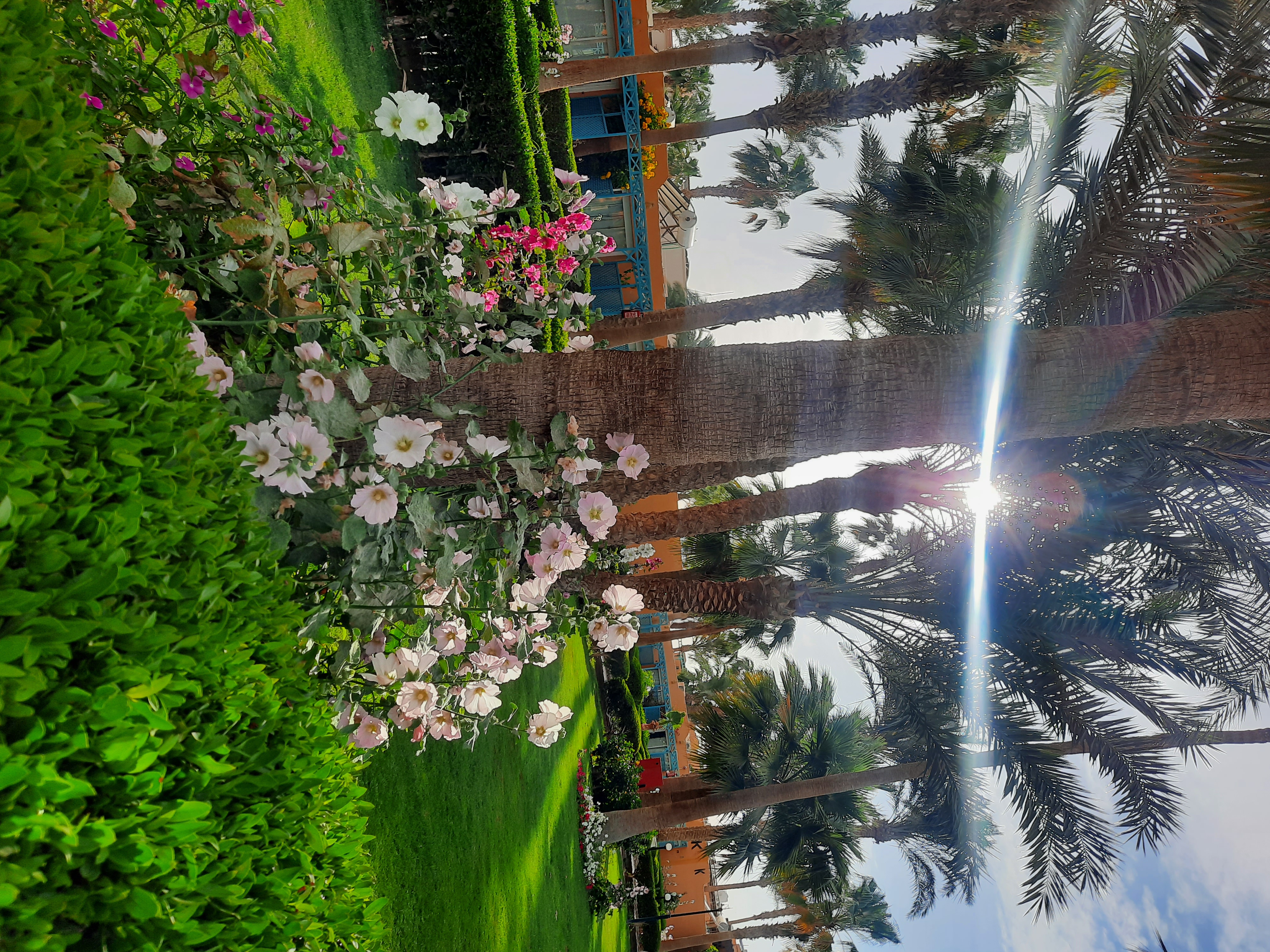 Фото Giftun Azur Resort