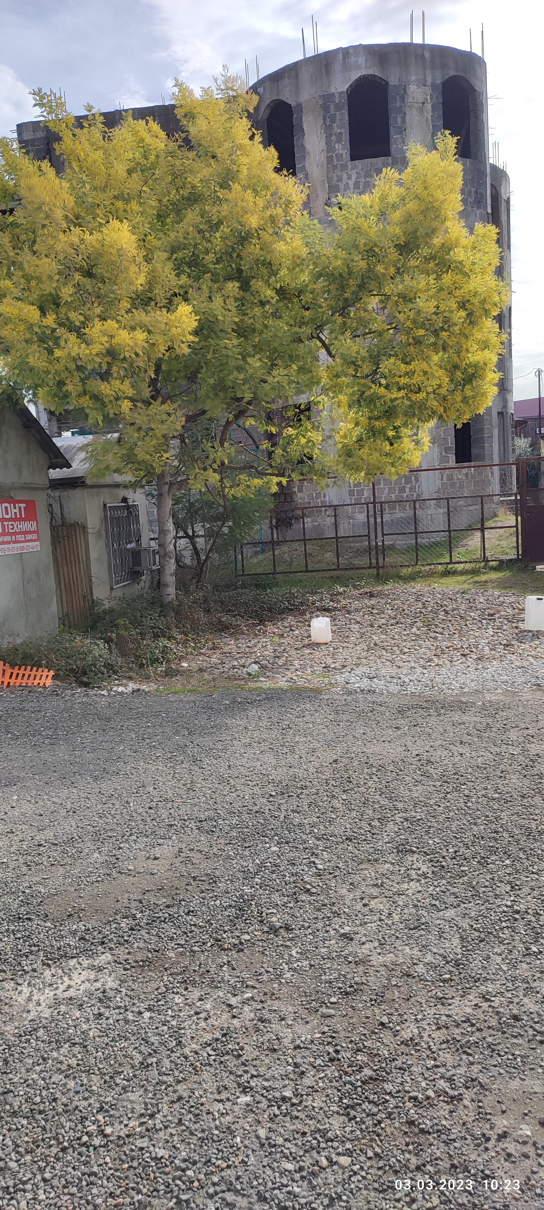 Фото Ариетта