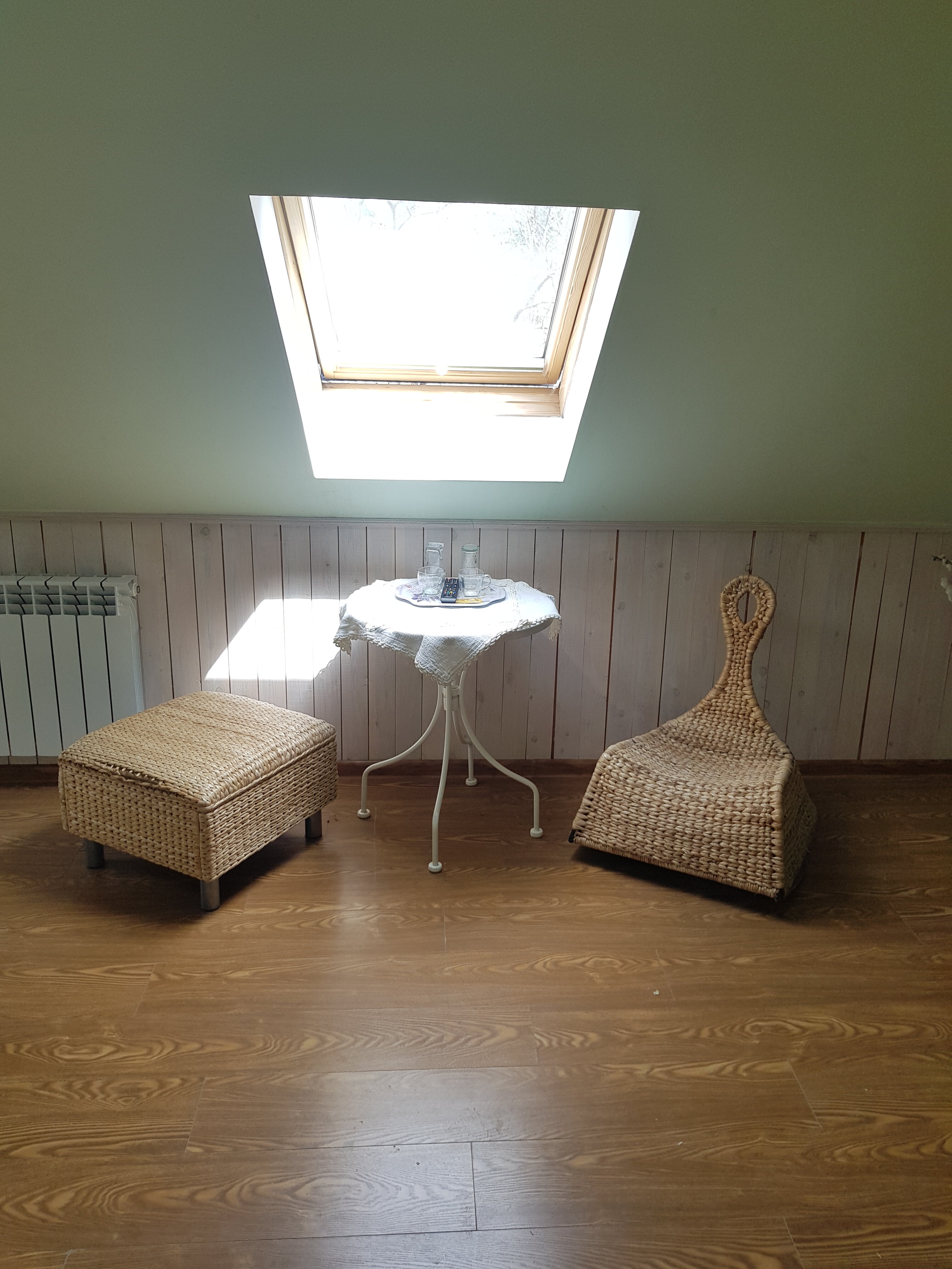 Фото Золотой Гусь