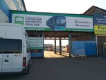Mup Gorodskiye marshruty (prospekt Avtomobilistov, 3А), gestión y mantenimiento del transporte urbano