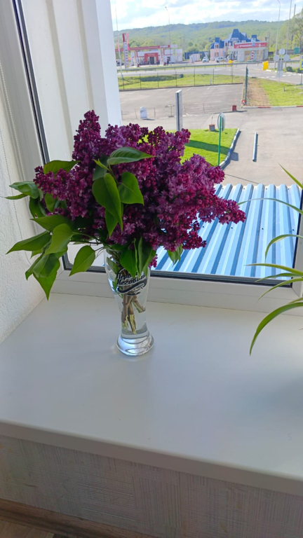 Фото White House