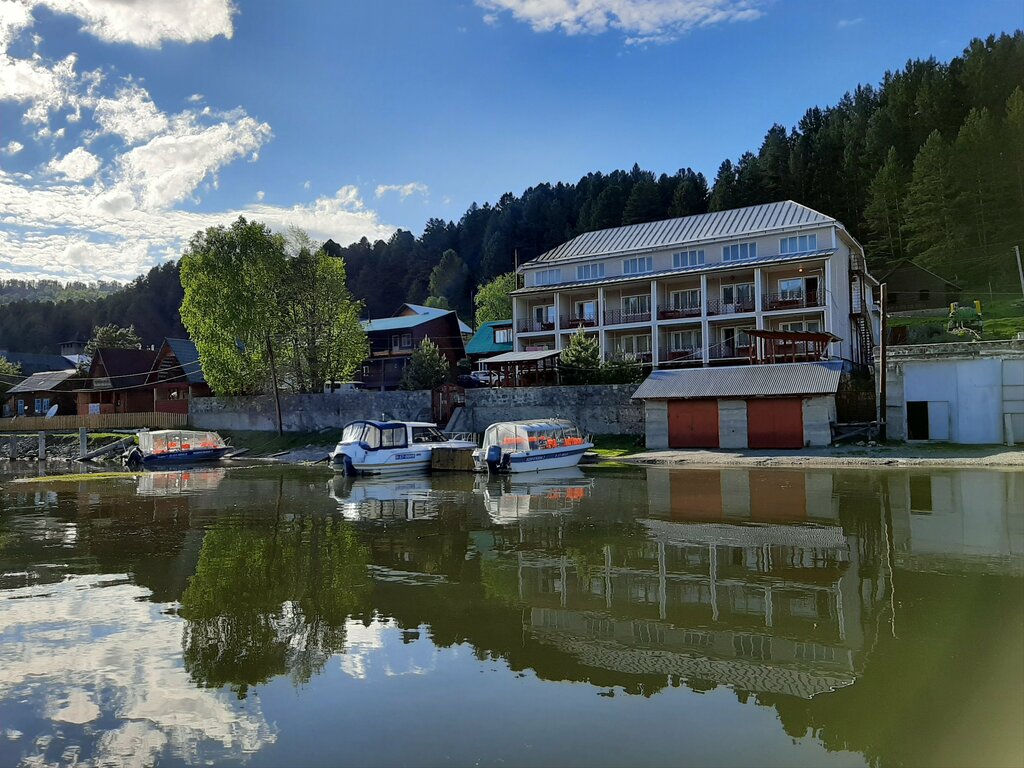 Артыбаш горный Алтай