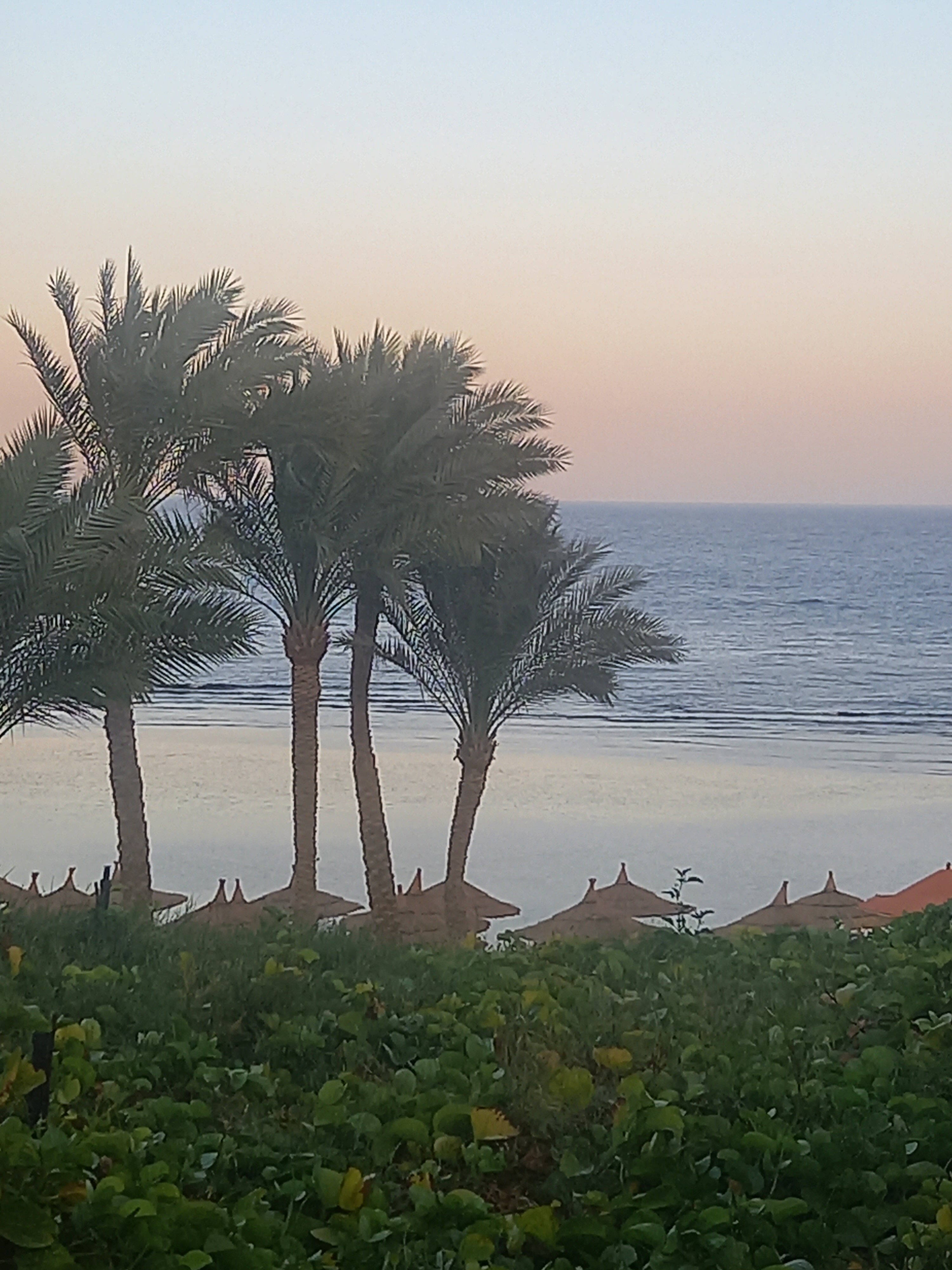 Фото Nubian Village Hotel