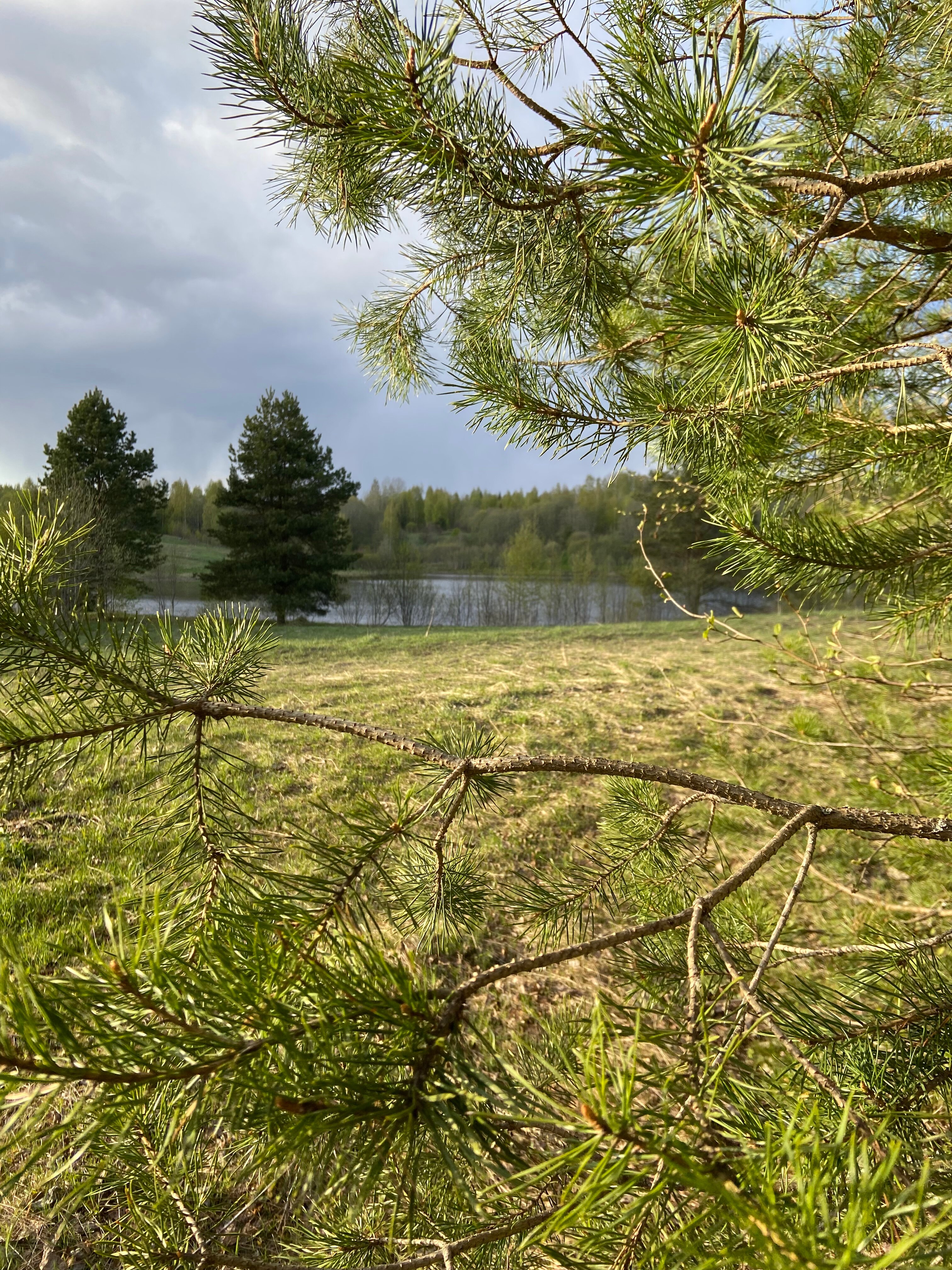 Фото Ерёмина гора