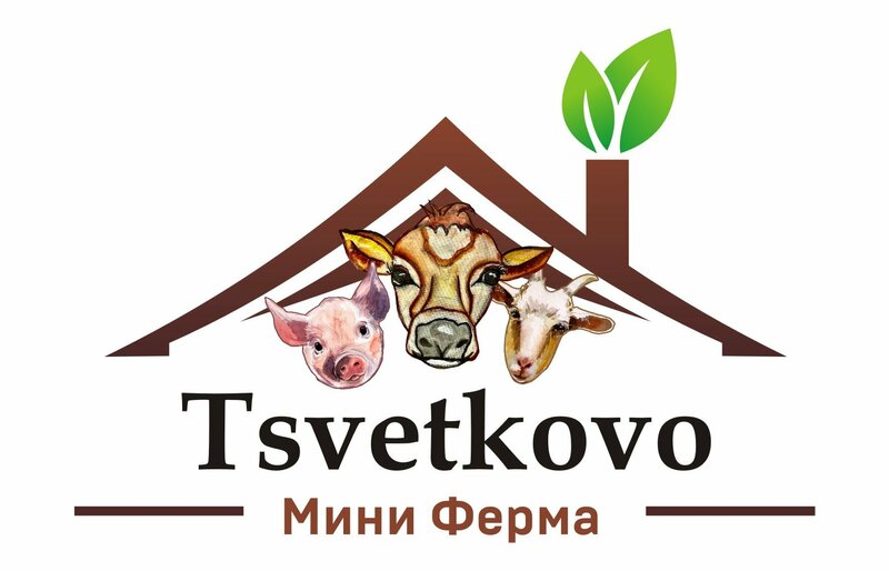 Цветково Вилладж — фото 10