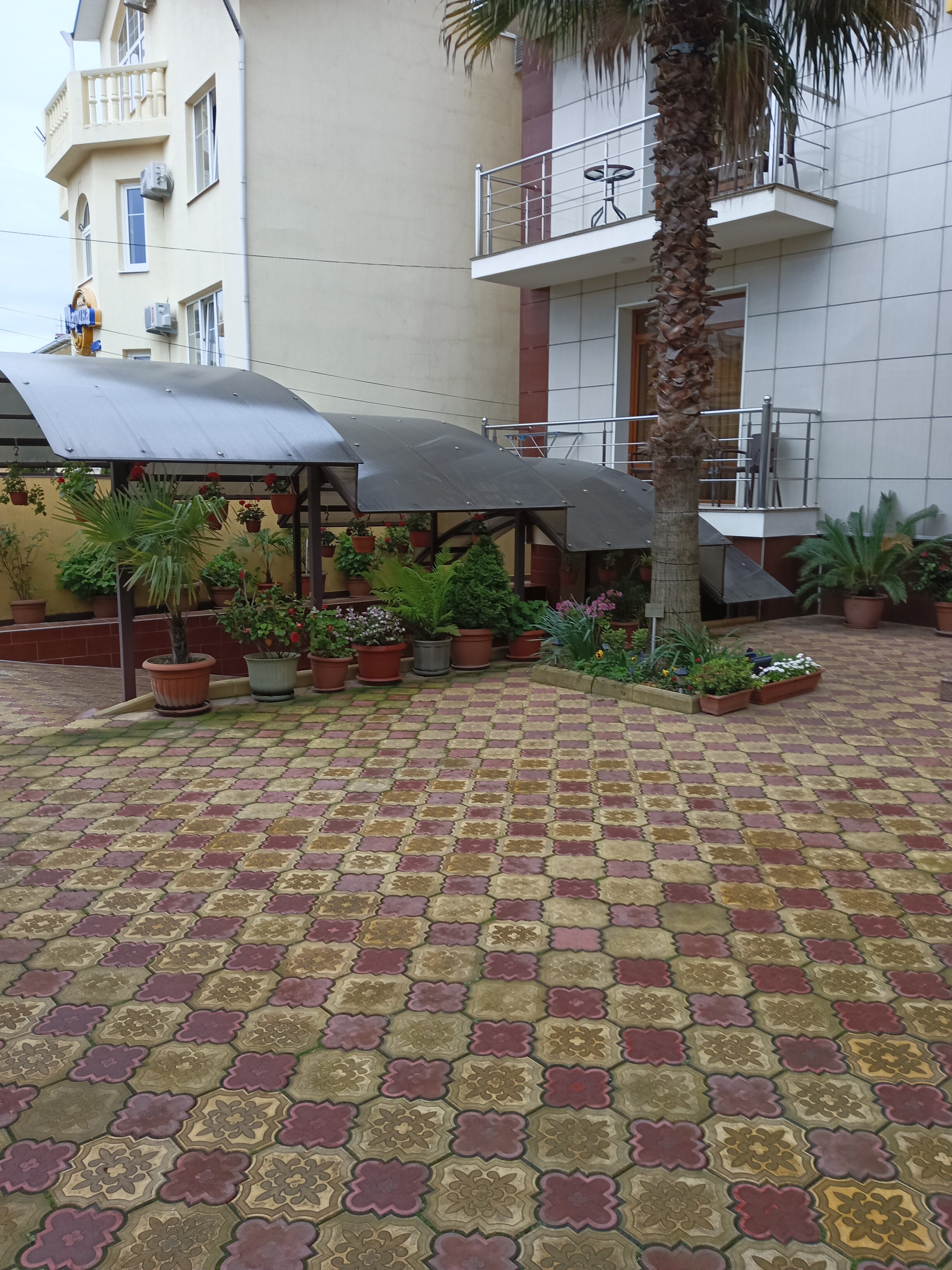 Фото Аркадия+