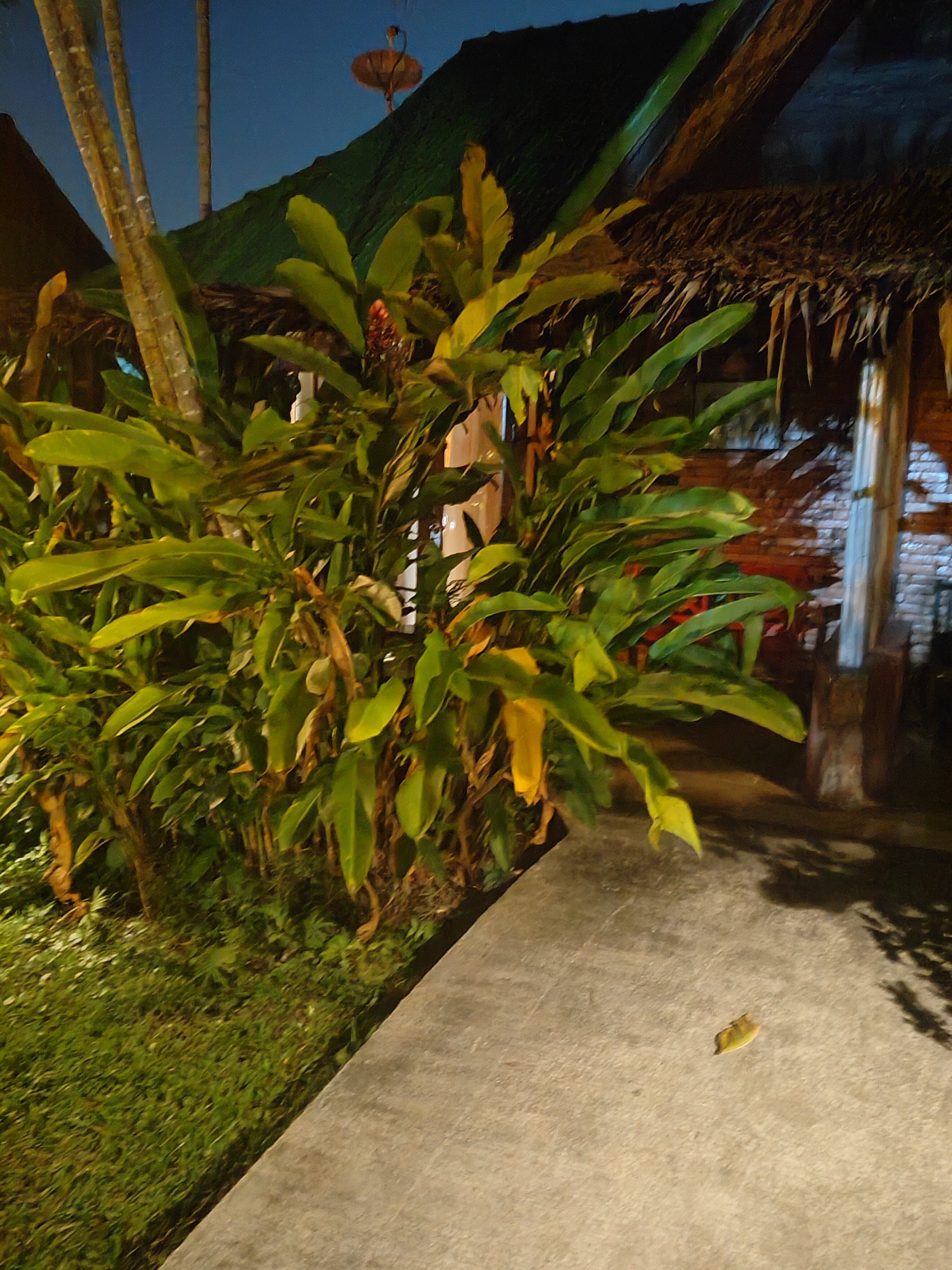 Фото Vipa Tropical Resort