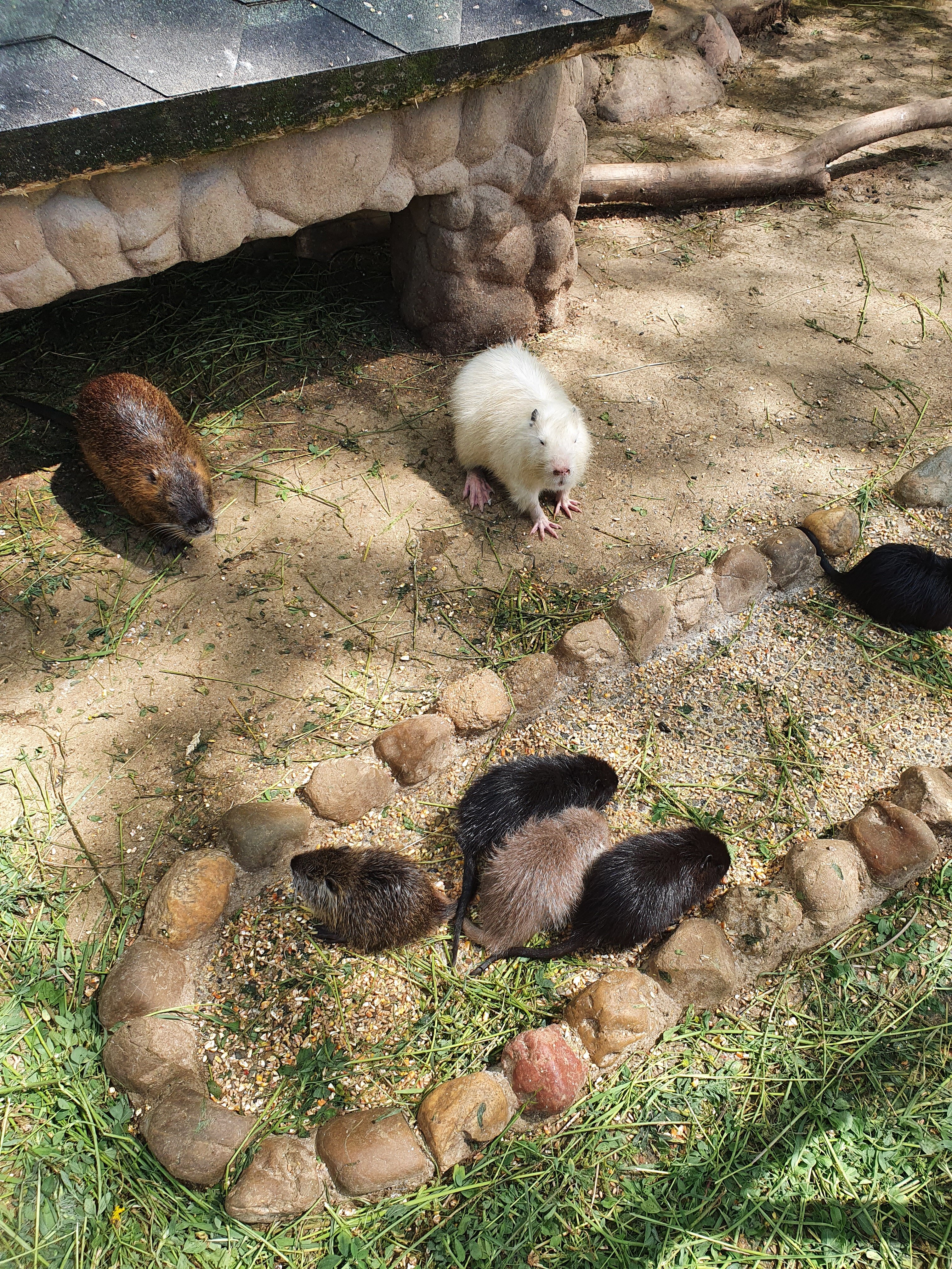 Фото Villa Tsarina