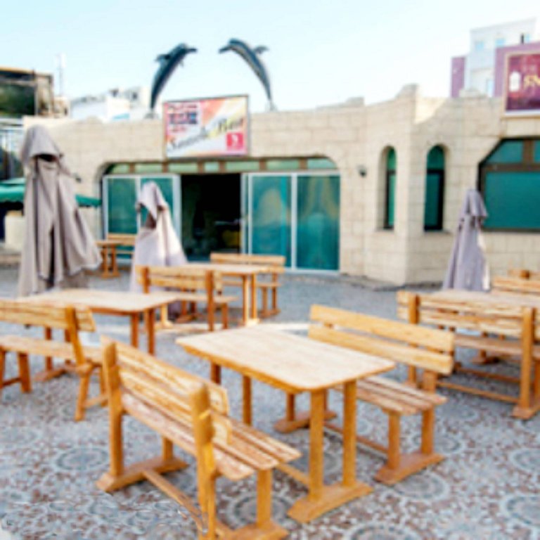 Фото Delphin El Habib