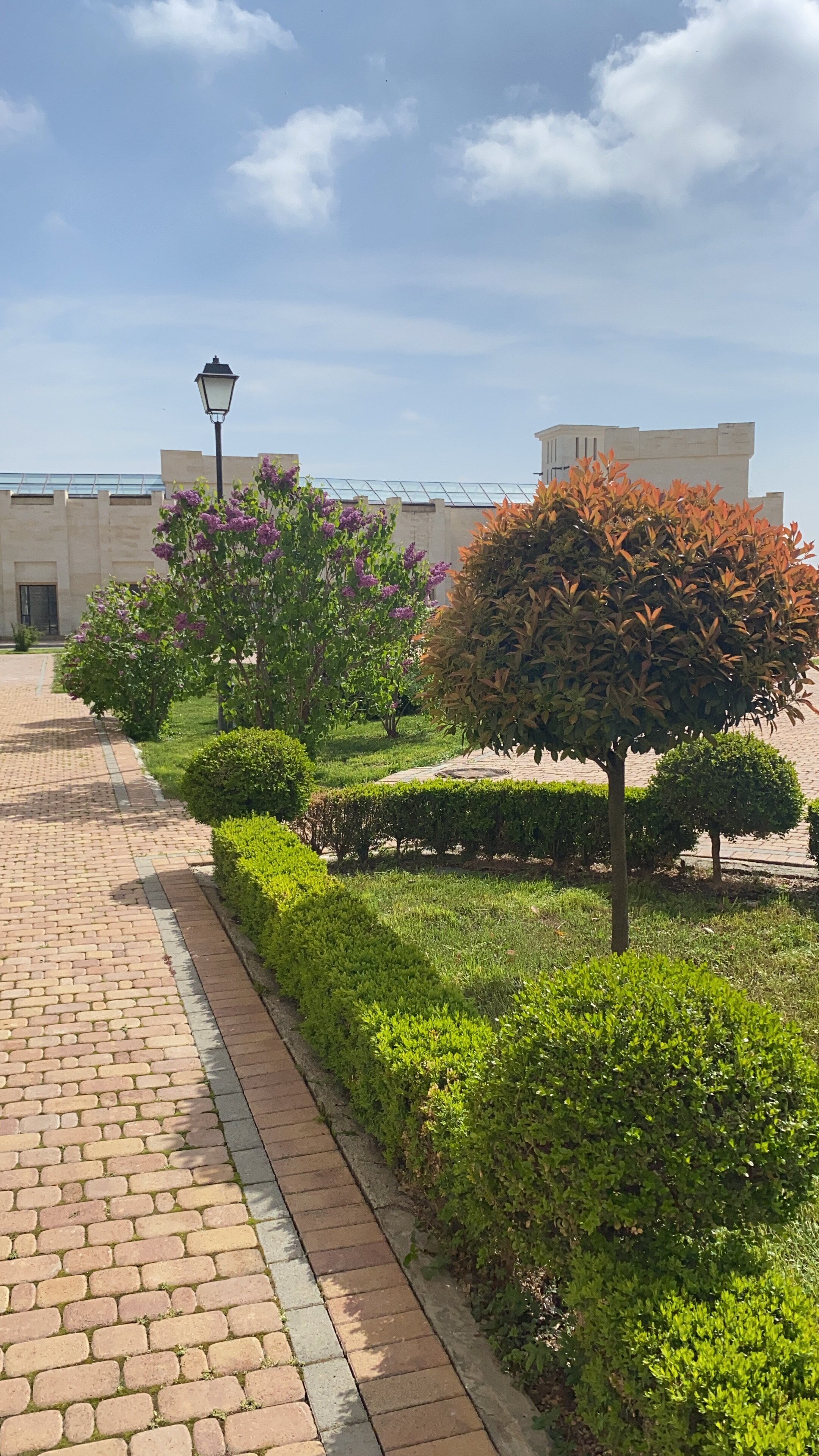 Фото The Local Hotels Grozny