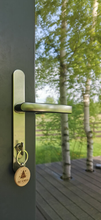 Фото Лес и небо